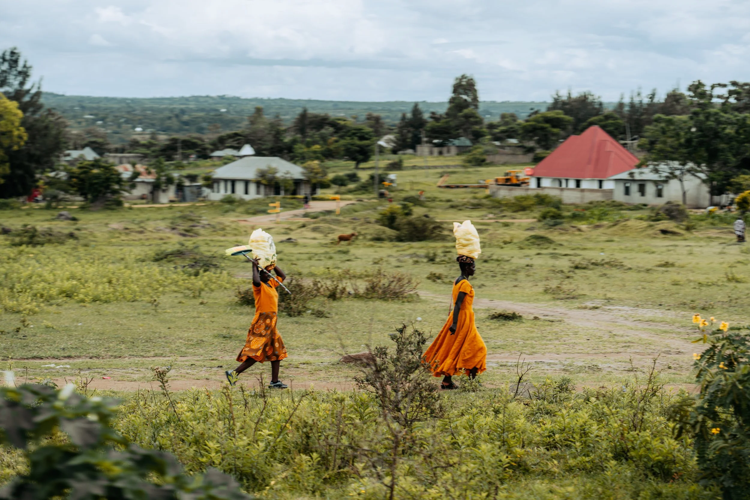 g The Drive - Kenya to TZ-385.jpg