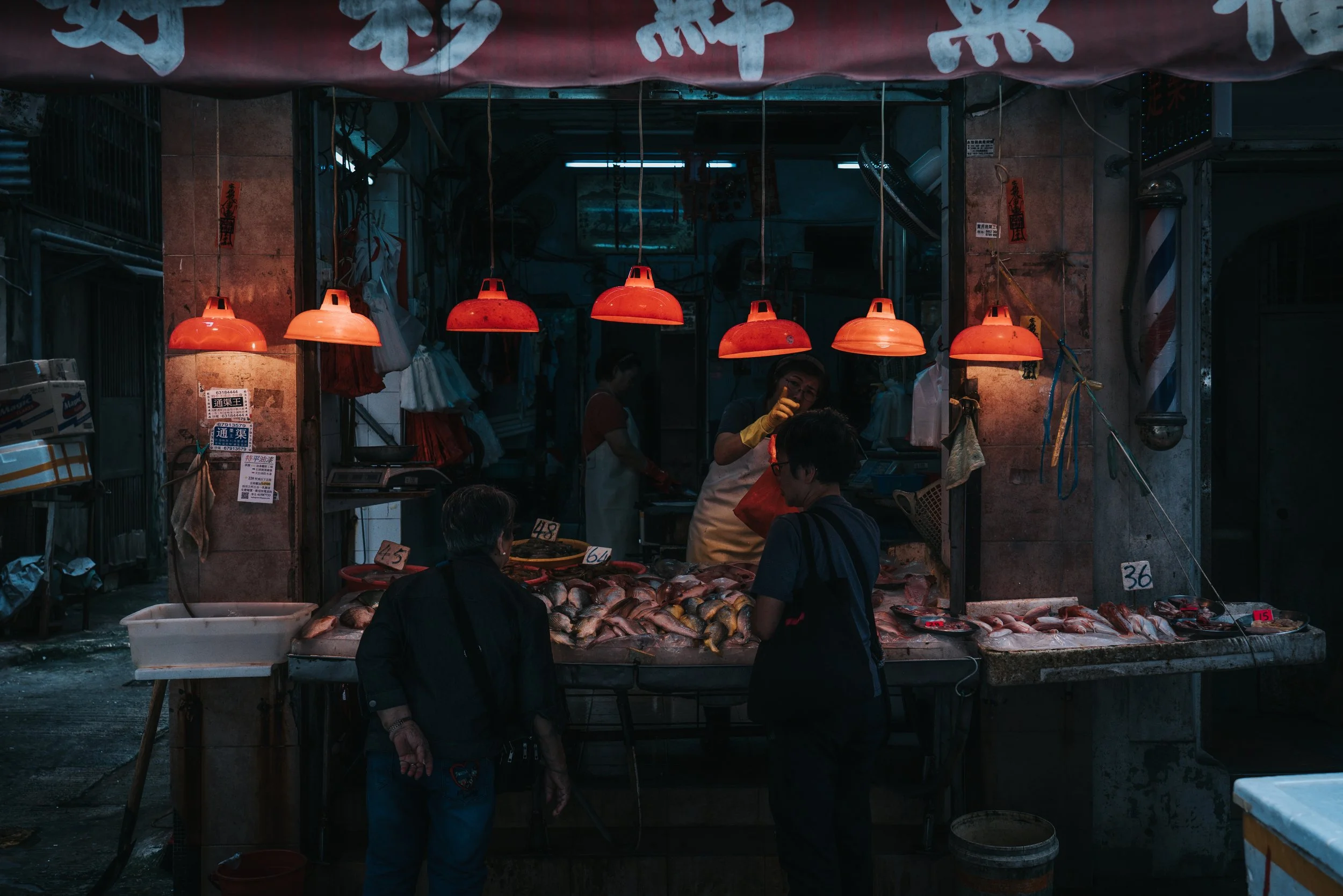 monster Mansion-6.jpg