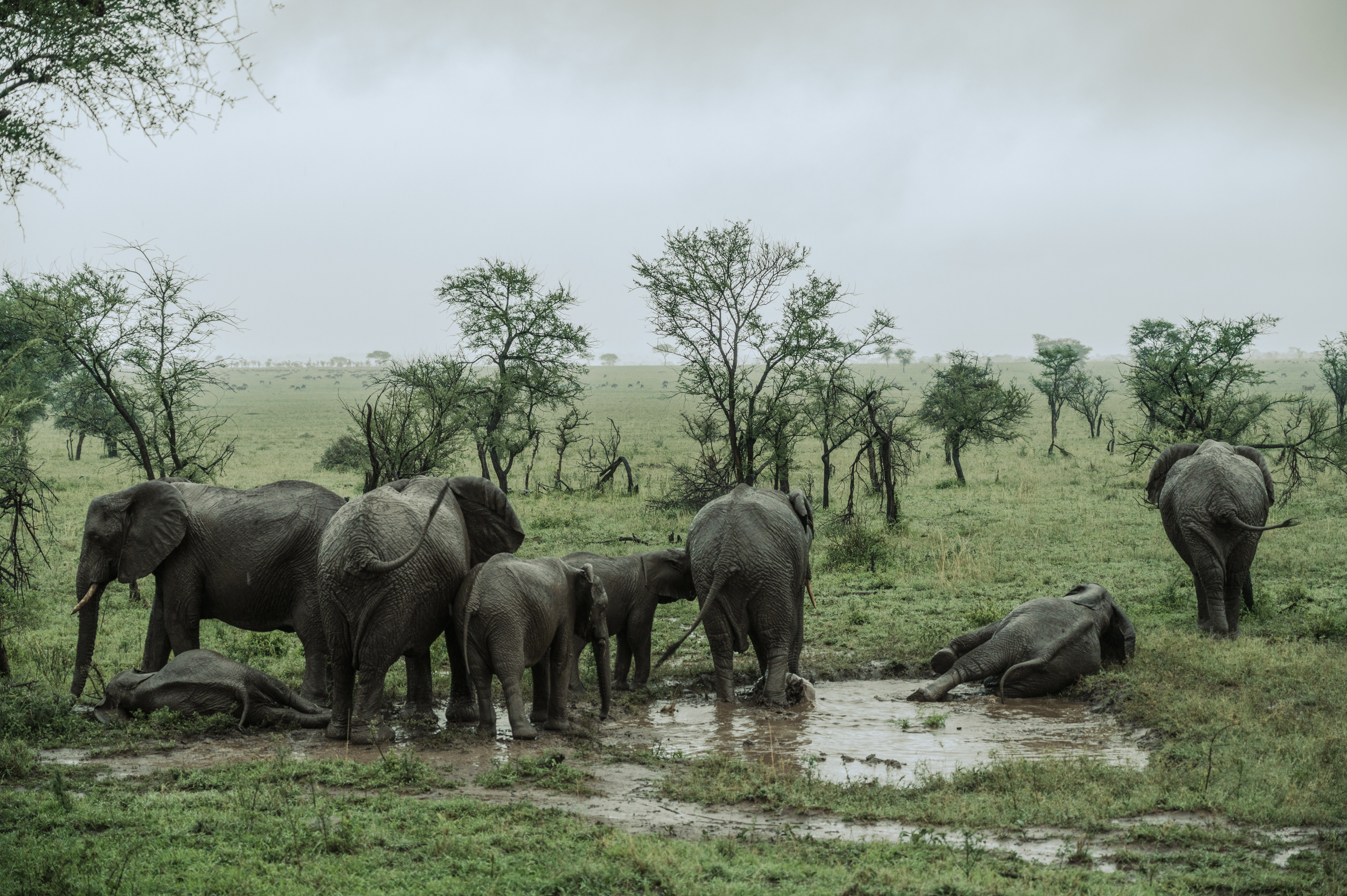 Screen Shot 2024-02-22 at 5.16.39 PM.png