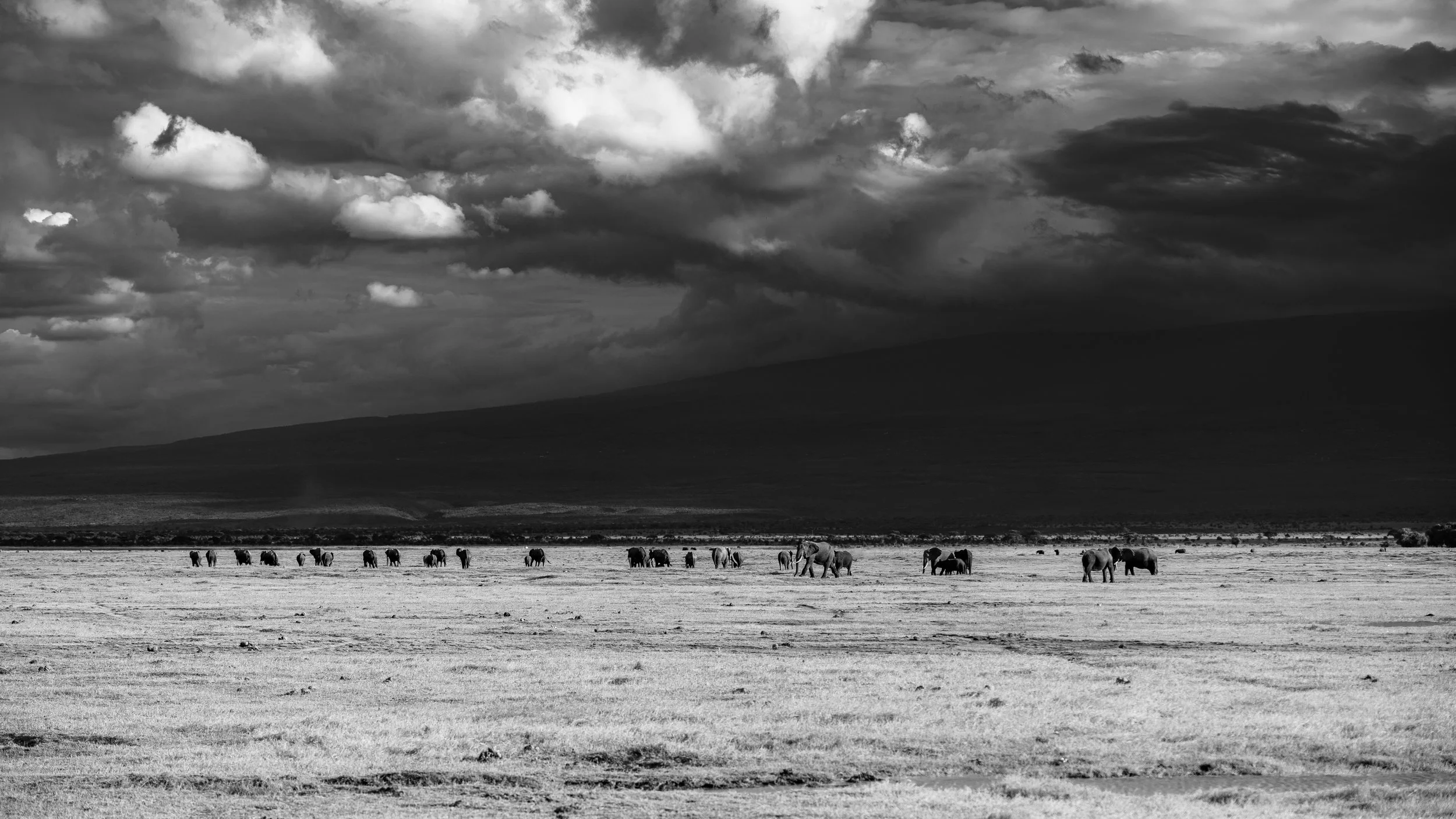 Amboseli National Park - Safari-252.jpg