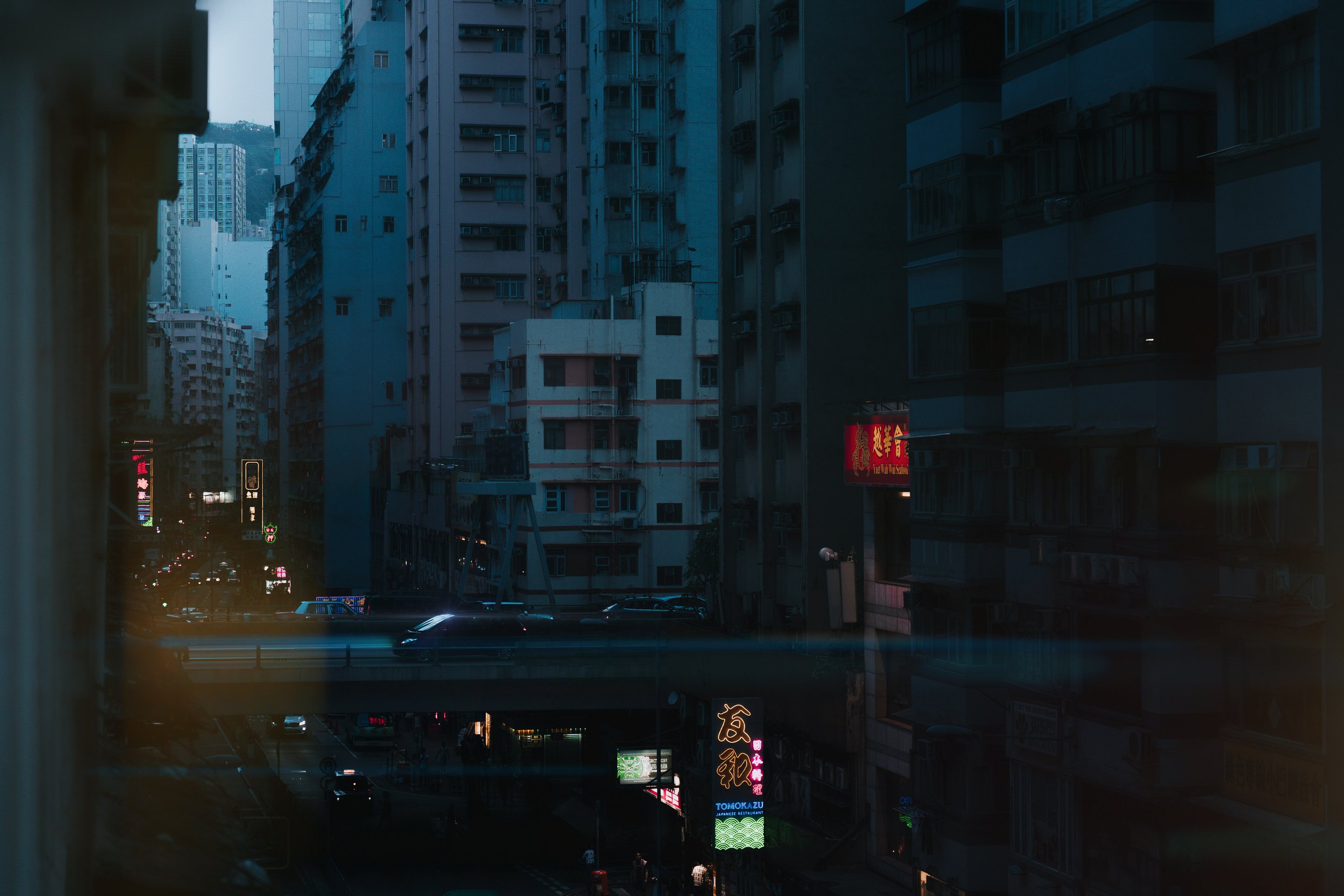 morphic-3 copyhk.jpg