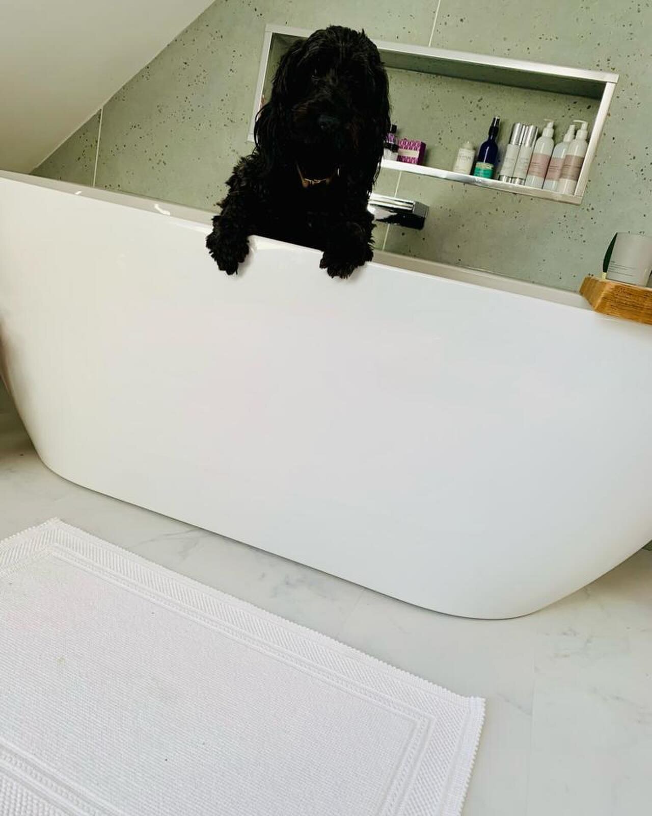 Bella &amp; Nala enjoying the @watersbaths back to wall freestanding bath!
#dogsinbaths #dogsofinstagram #bathroom