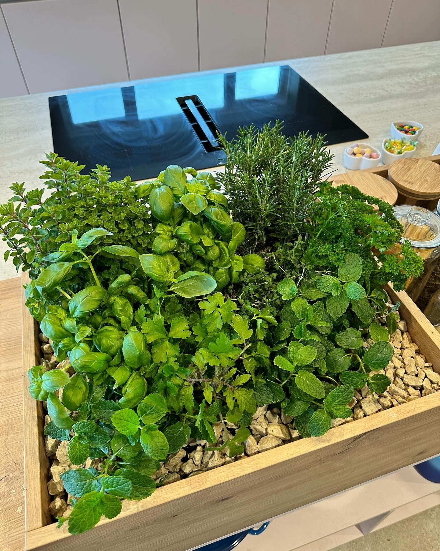 This freshly planted herb garden adds character and life to the kitchen island. The planter is full of fresh herbs waiting to be harvested for supper. This has to be the kitchen must have for 2024! Tell us what you think of this idea, comment below. 
