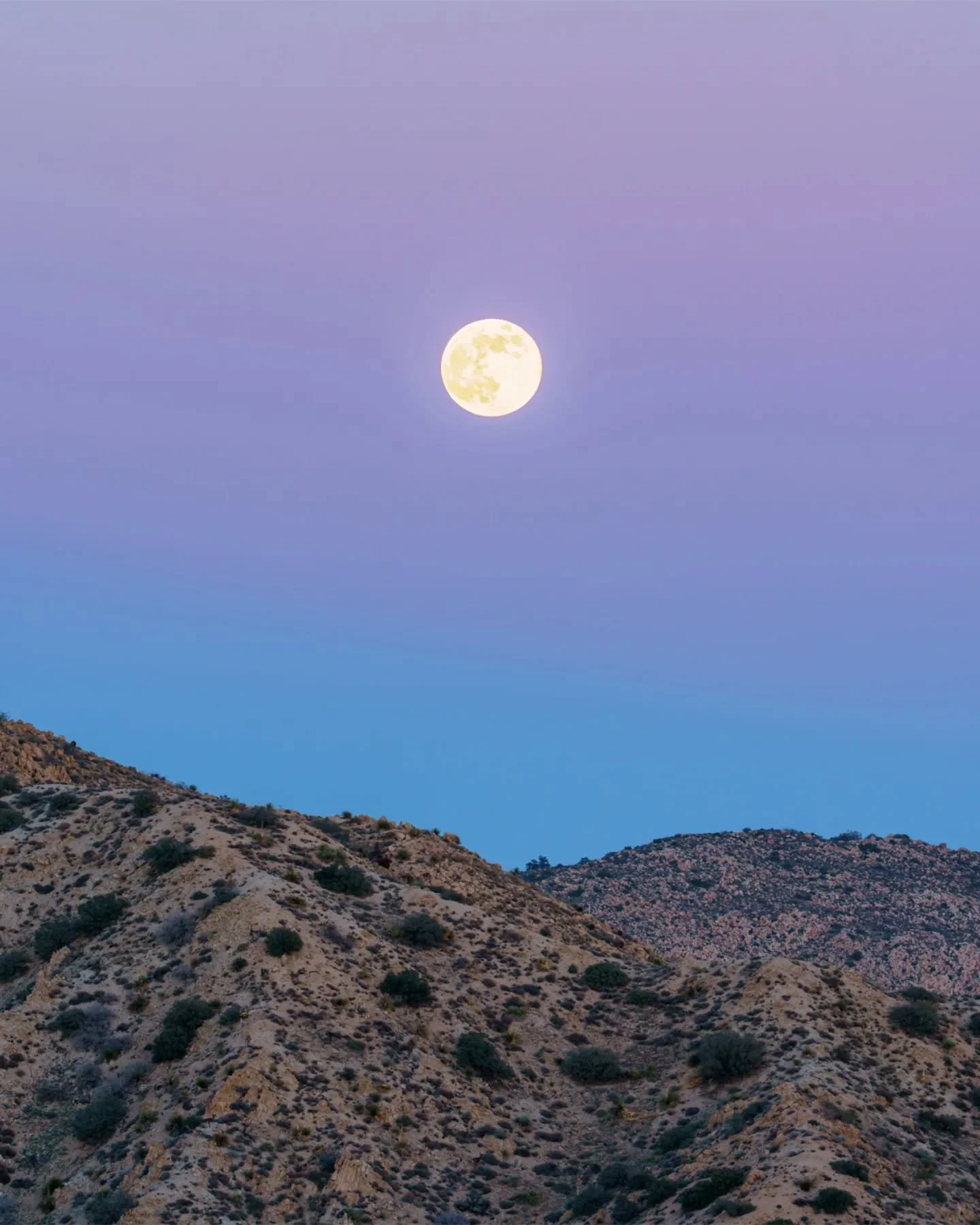 There's nothing like a supermoon in the desert 🌕 This was the Full Cold Moon over Yucca Valley, California, on December 4, 2025. It was so bright, big, and beautiful!

A supermoon occurs when a full moon aligns with perigee, and the December full mo