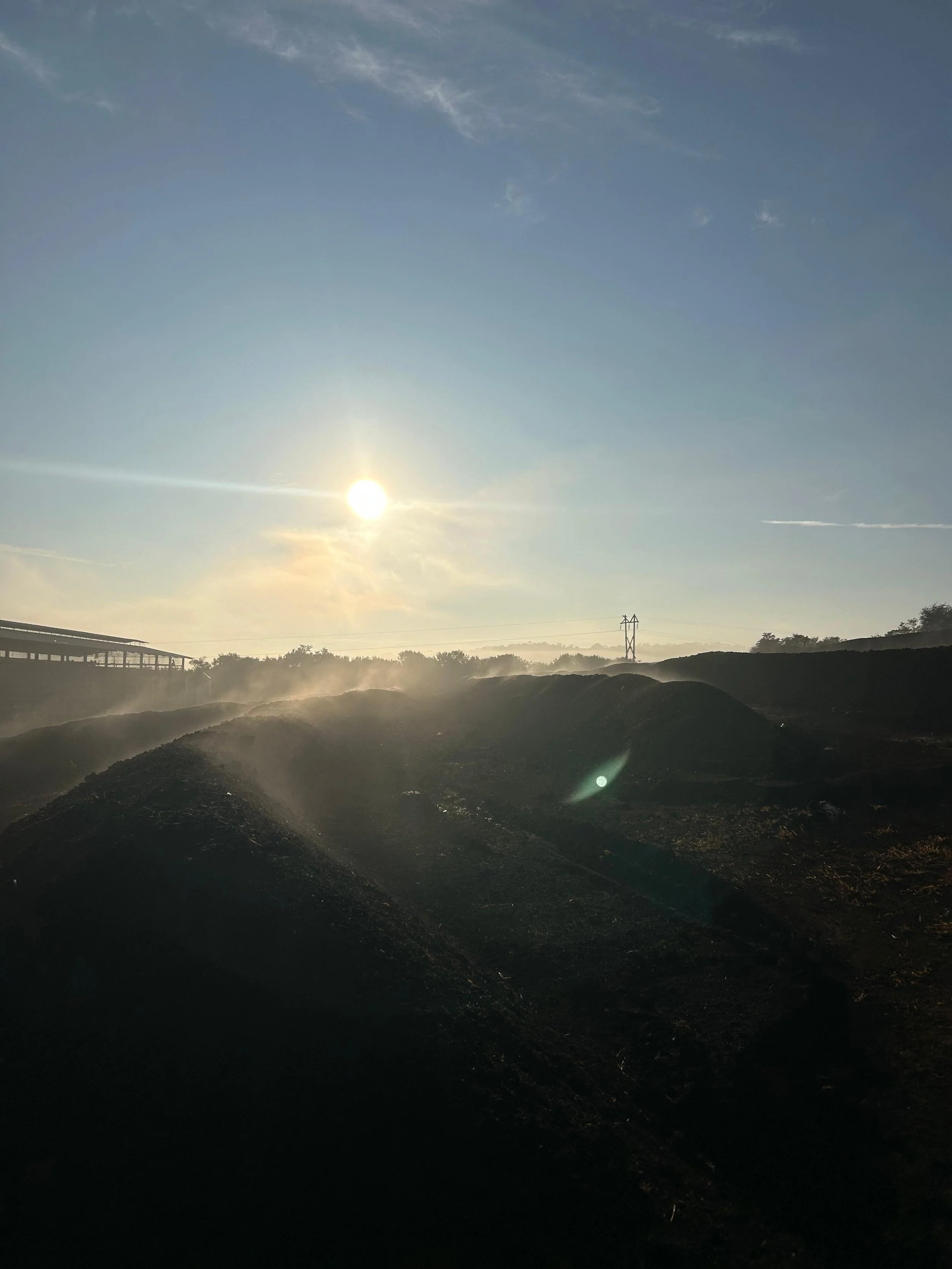 Blog — ARBOR AGRO TECH