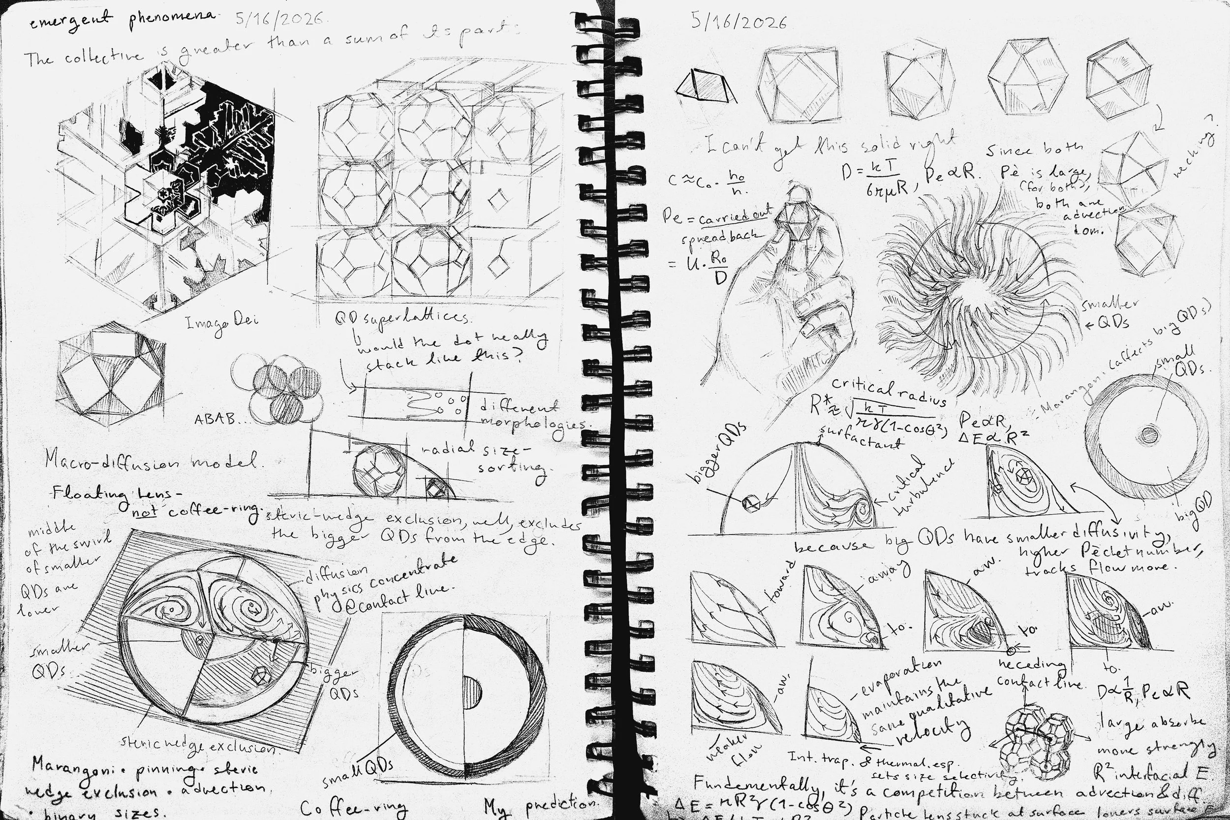 Sketchbook