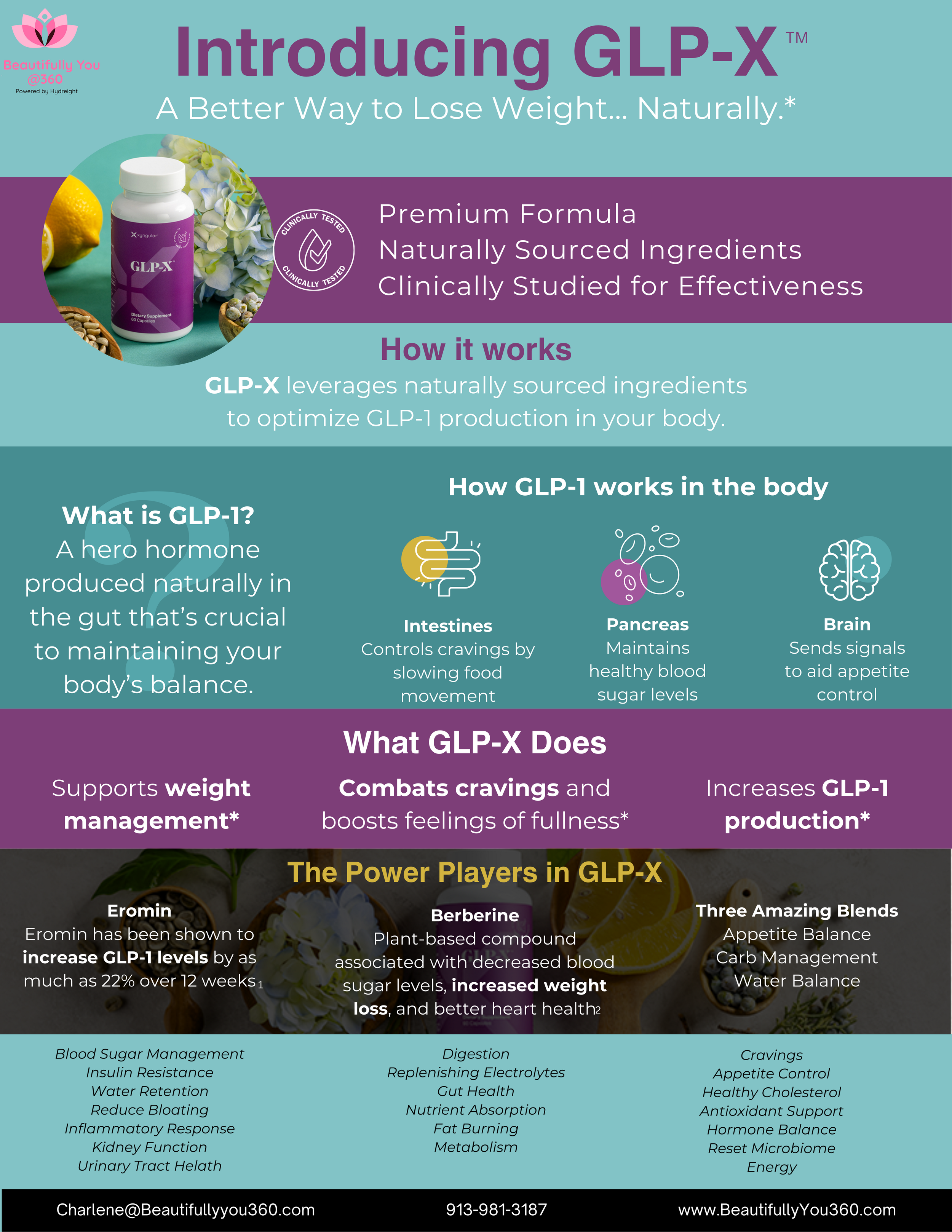 GLP-X Details 8.5x11.png