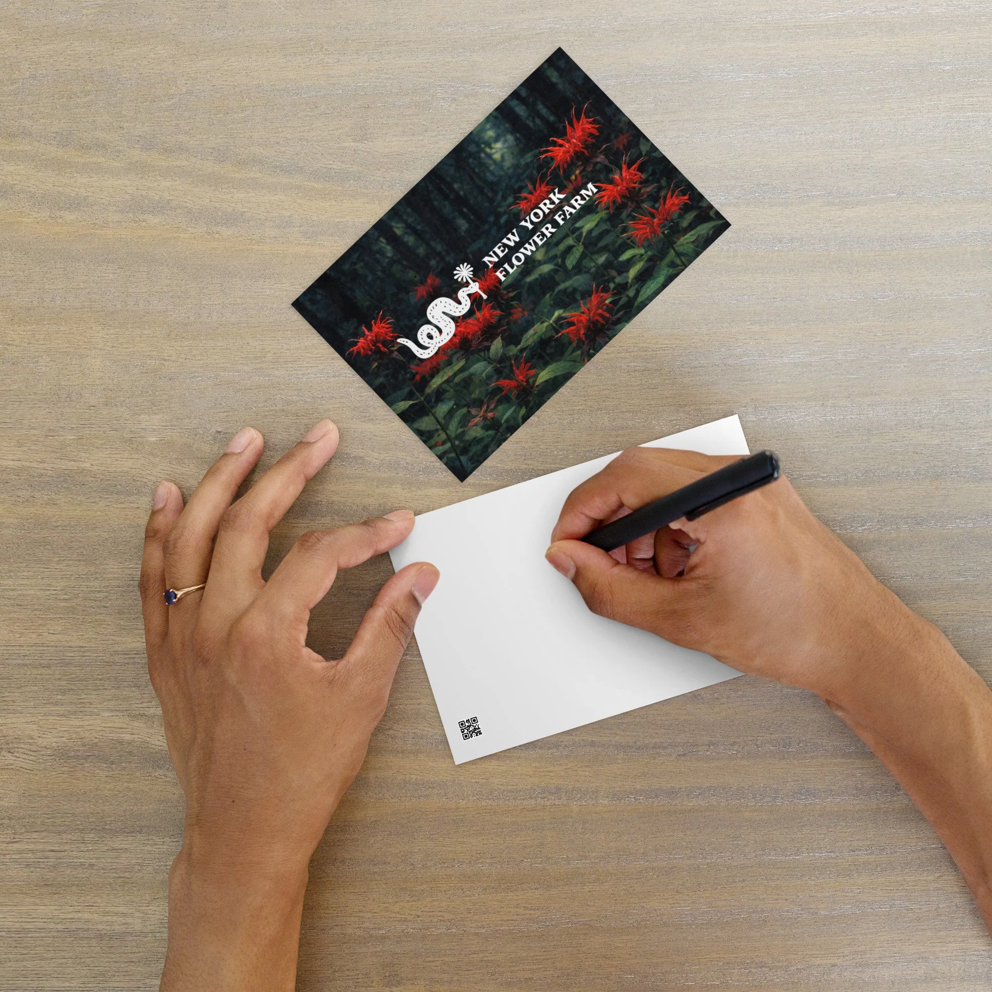 New York Flower Farm Postcard with Red Bee Balm | Native Wildflower