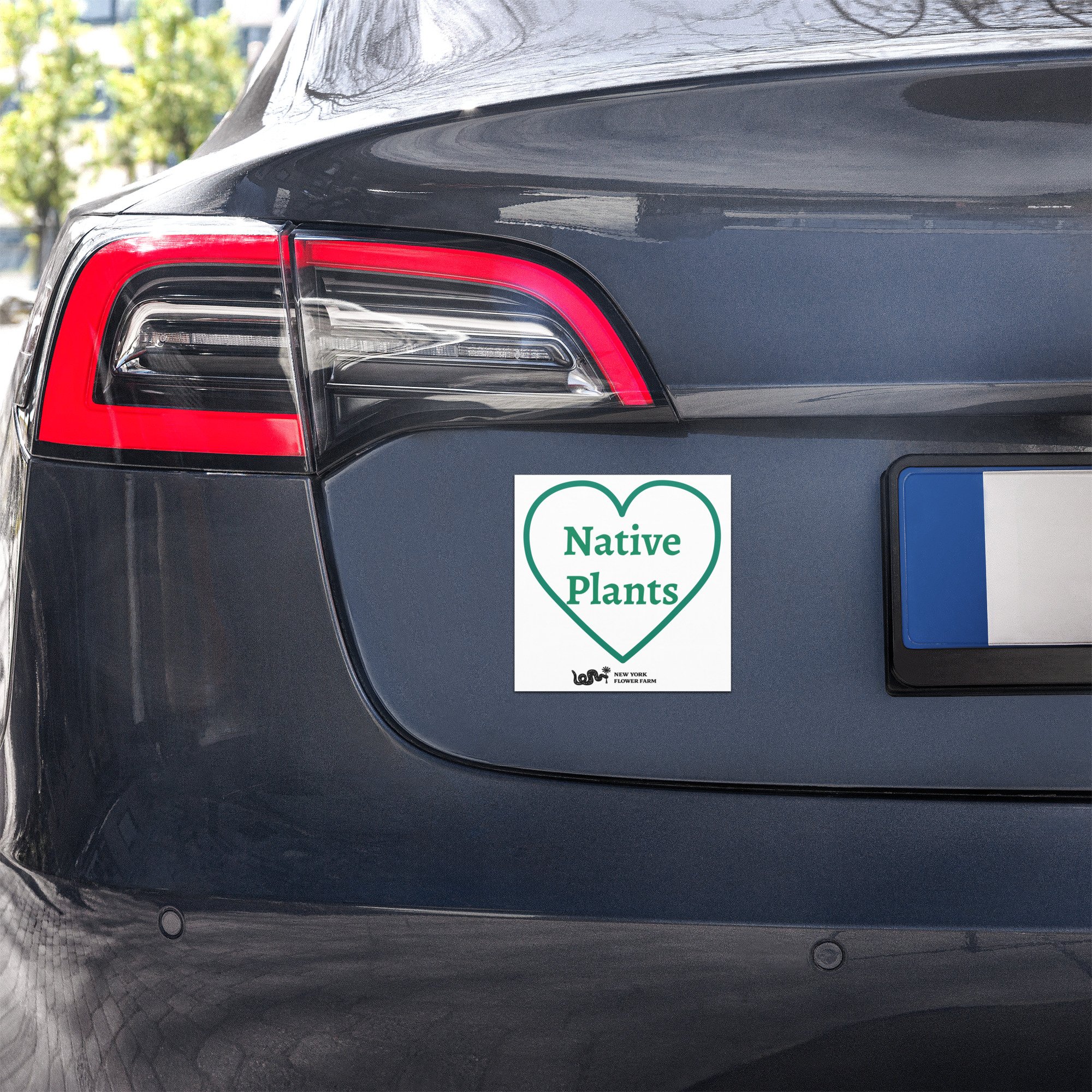 “I Love Native Plants” Heart Car Magnet | Plant Lover Accessory