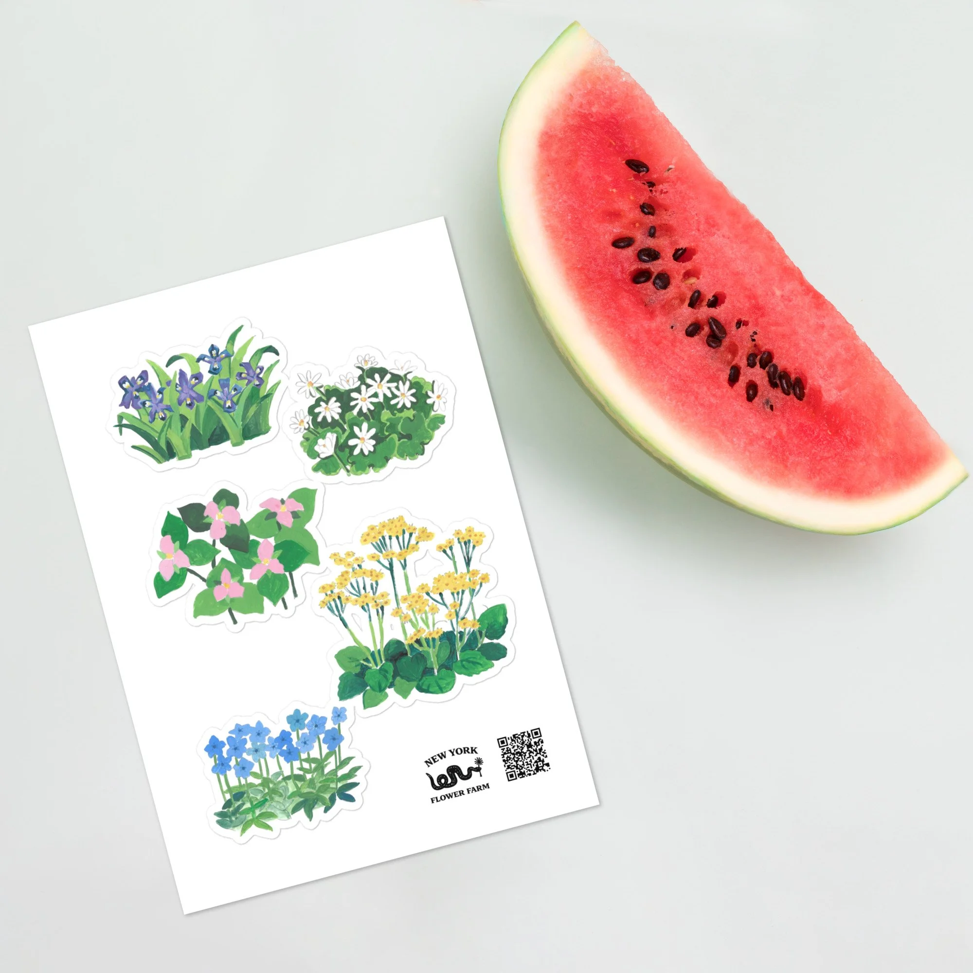 Sticker Sheet with Woodland Wildflowers | Iris, Bloodroot, Trillium & Phlox