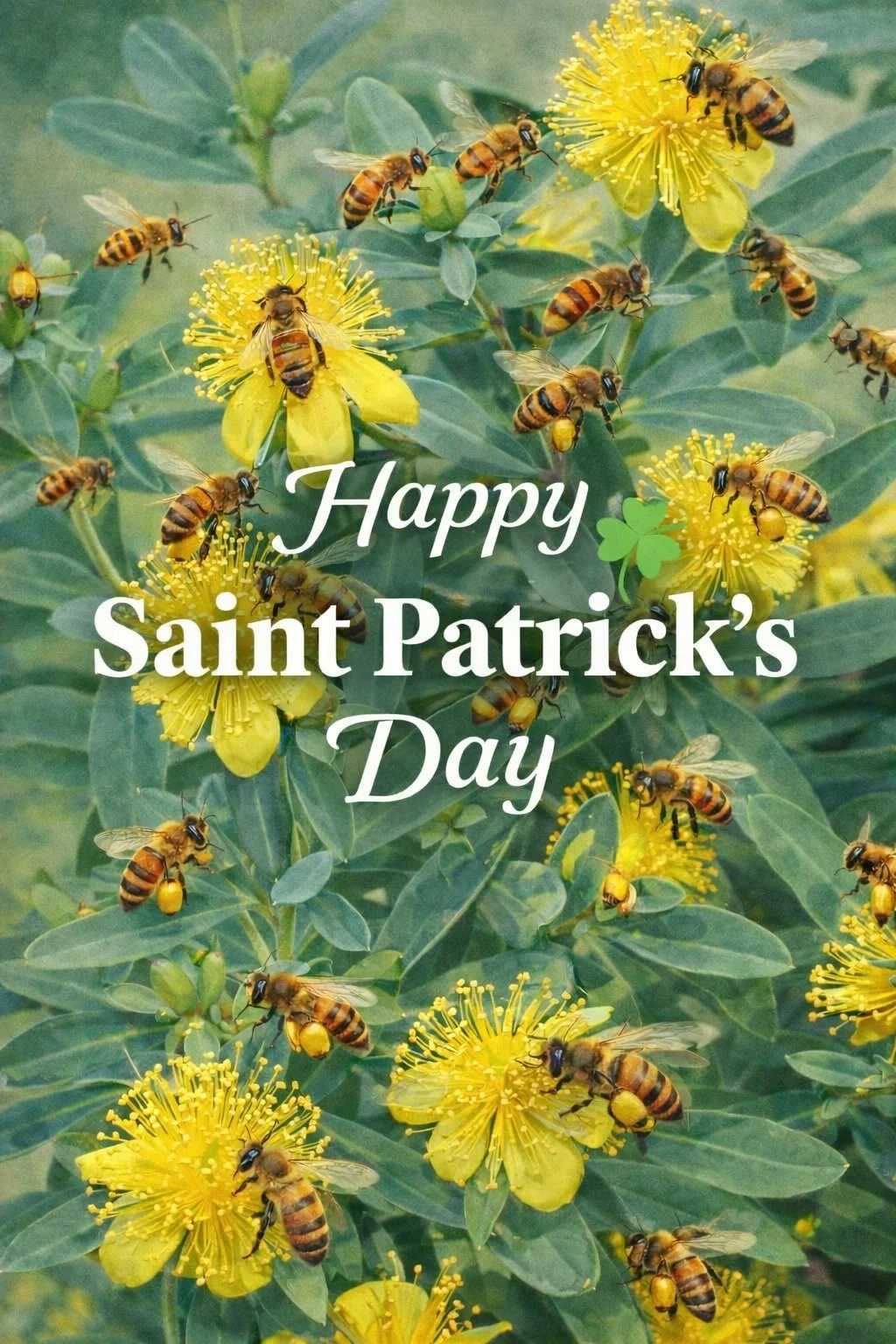 Happy Saint Patrick’s Day! 🍀