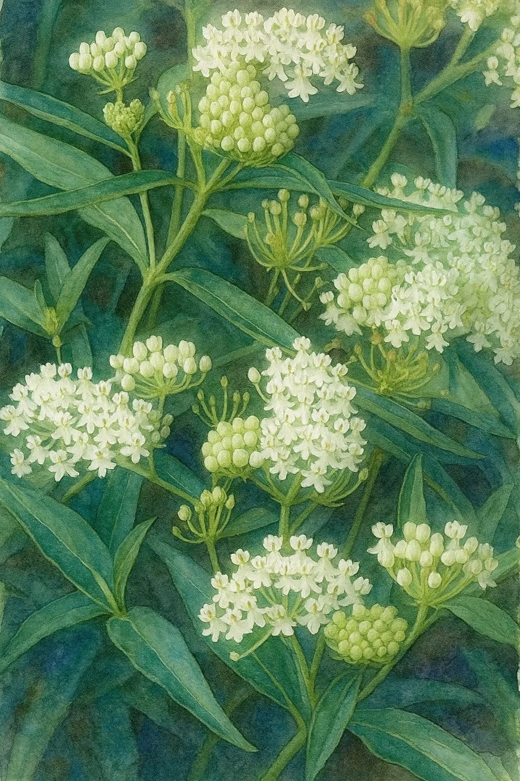 ChatGPT Image Dec 15, 2025 at 09_42_58 AM.jpg