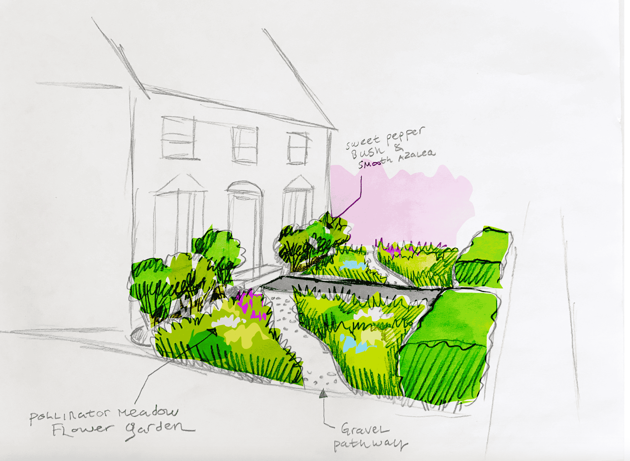 A hand-drawn landscape sketch of a front yard garden in front of a house. The garden features pollinator meadow flower beds with various green bushes, sweet pepper bush and azalea shrub, a gravel pathway, and labeled sections for different plants.