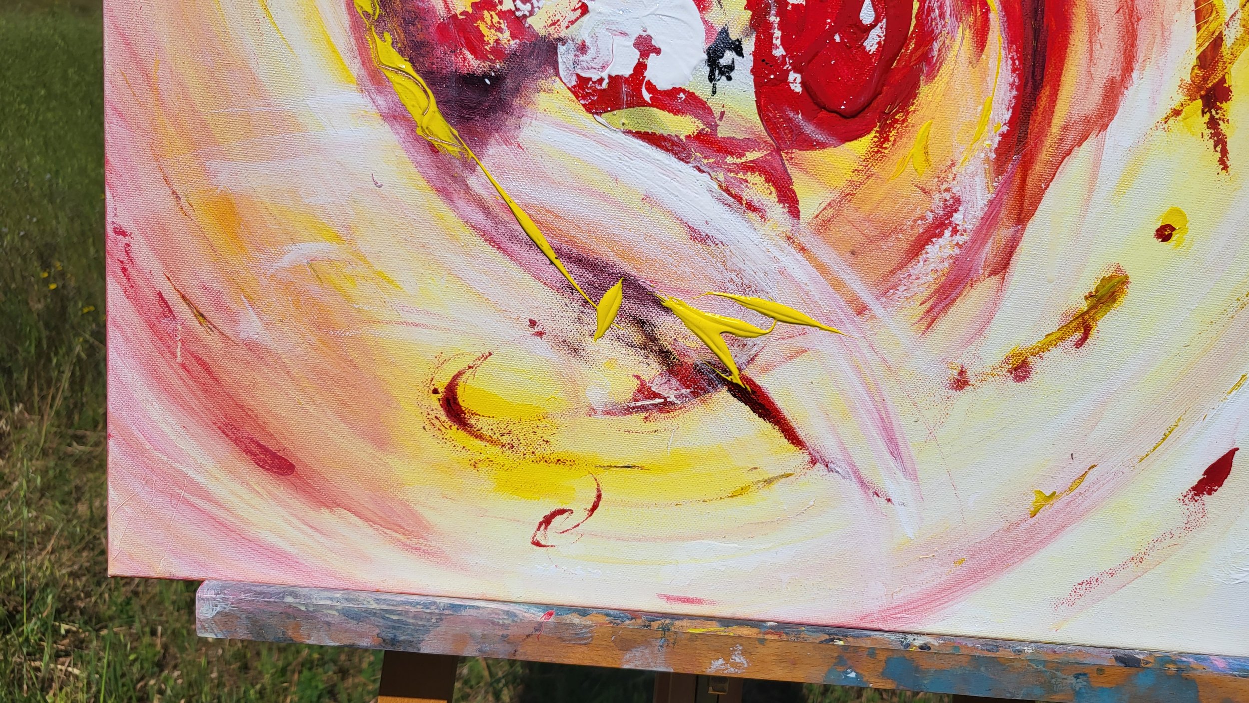 20250429_103916.jpg