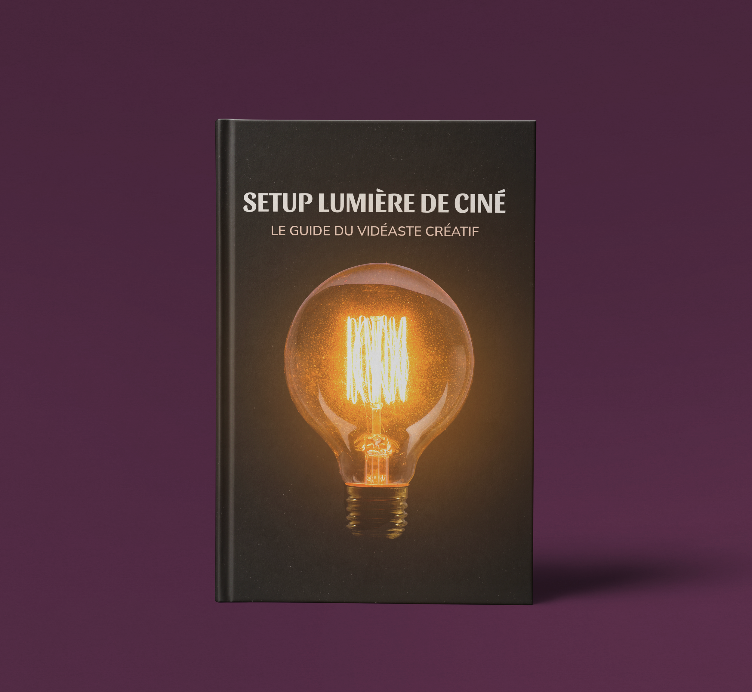 9172-1-book-mockup.png