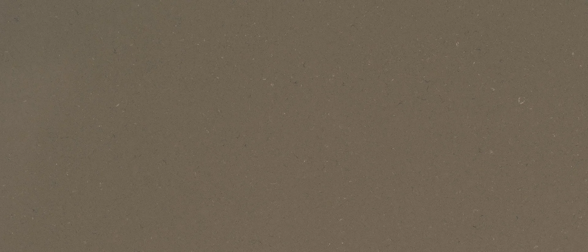 Fossil Brown