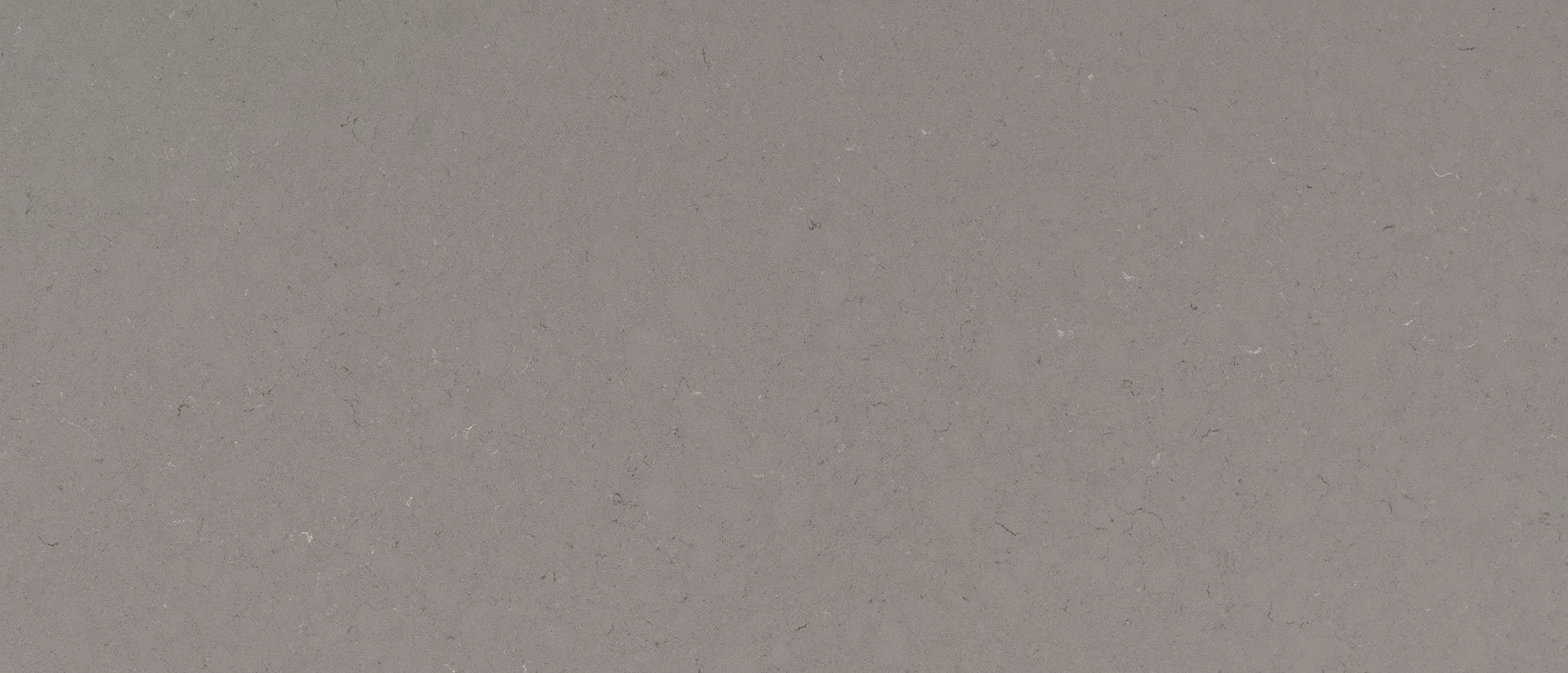 fossil-gray-quartz.jpg
