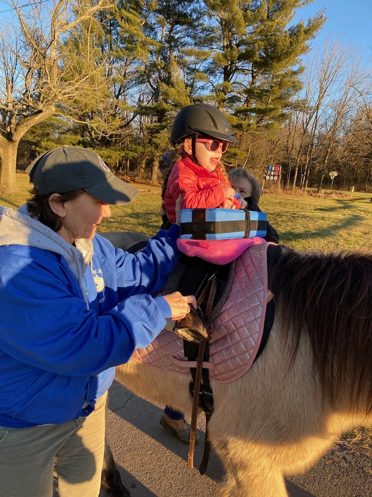 VOLUNTEER — Sebastian Riding Associates
