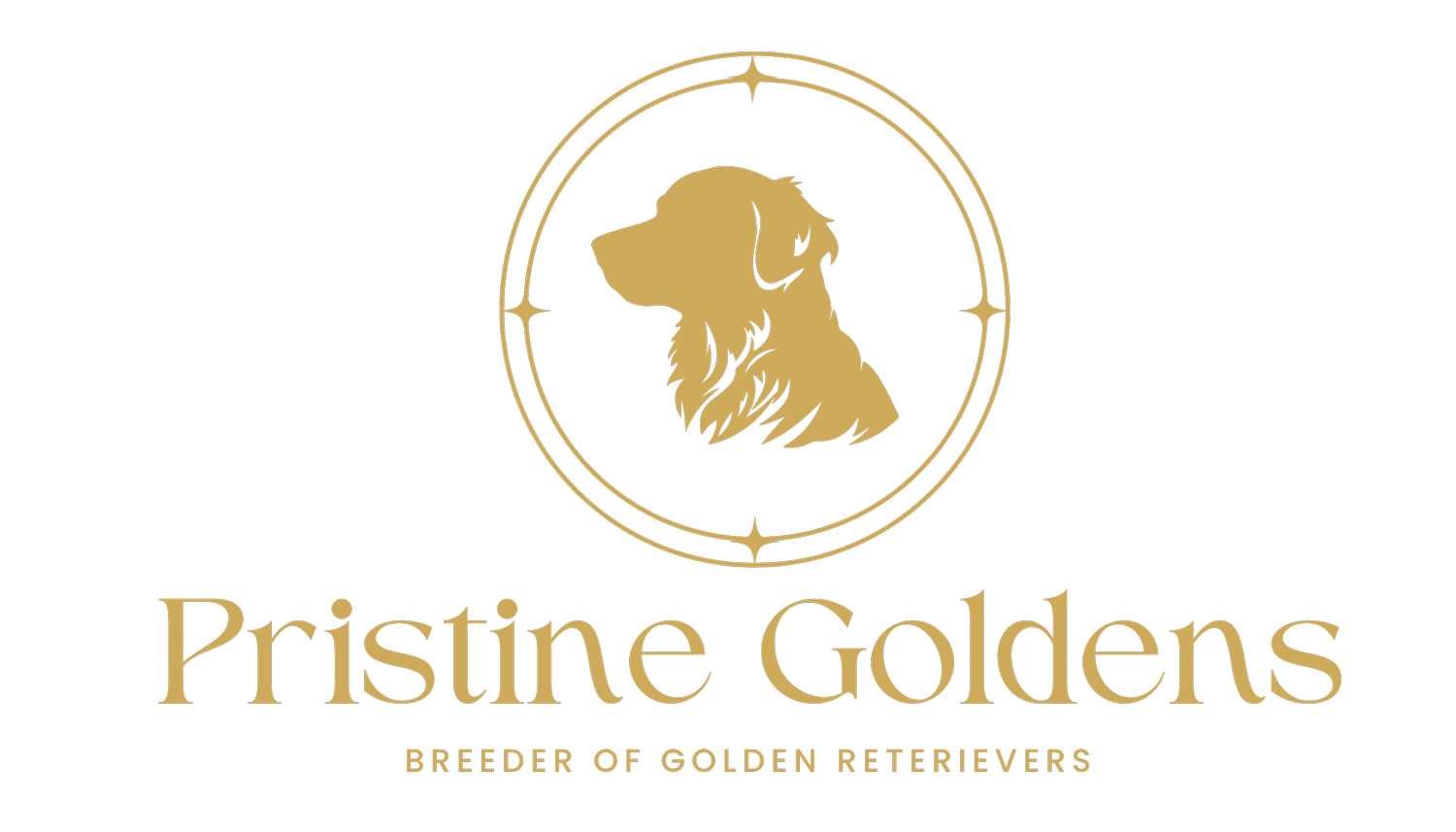 Pristine Goldens