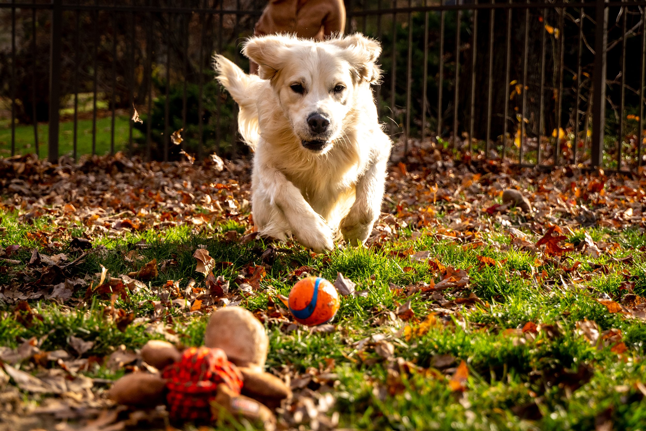 20231130-DSC09055-2.jpg