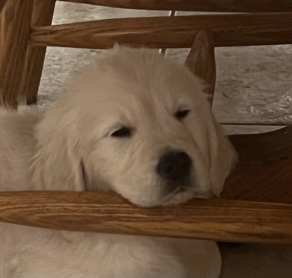 FullSizeRender (1).JPEG