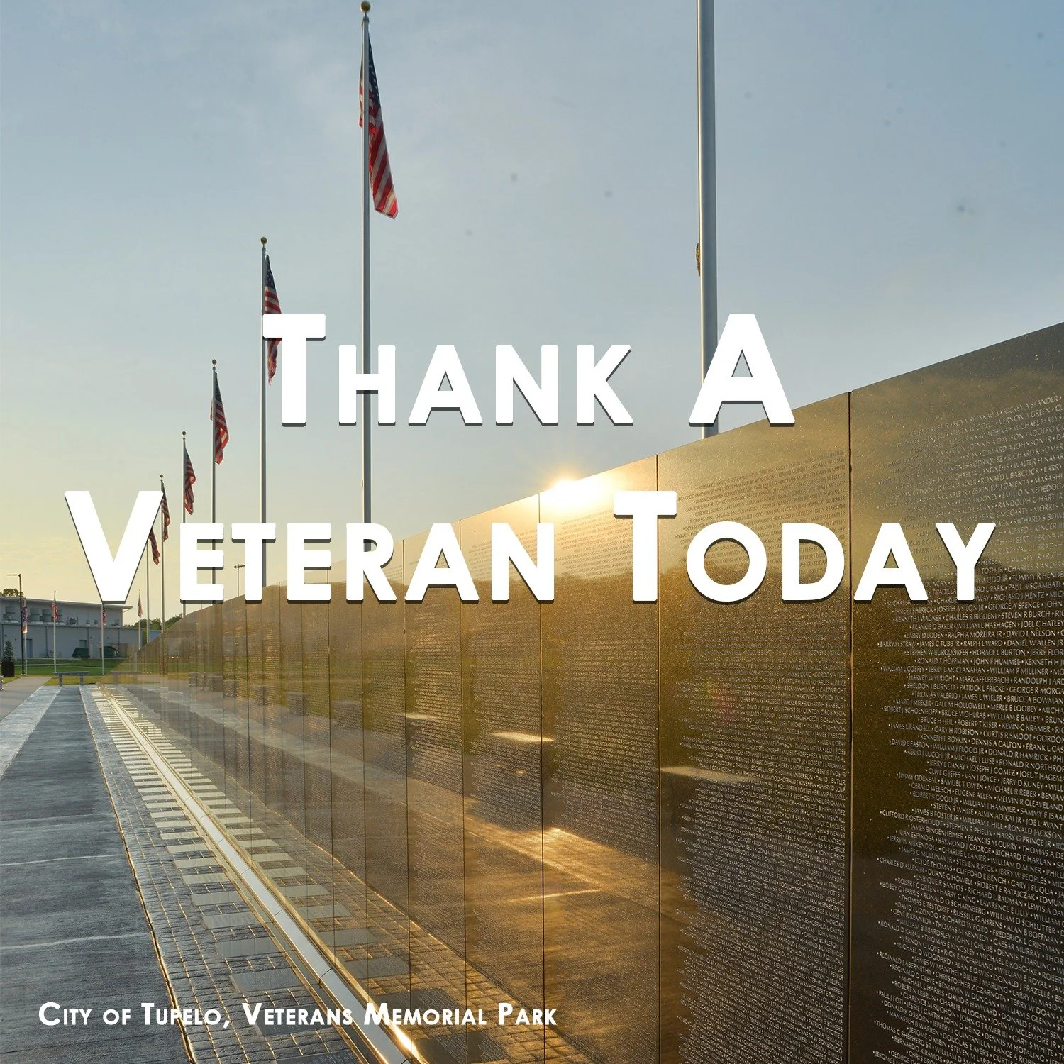 THANK YOU VETERAN'S

Thank you to the brave men and women who have served our country. Your courage, sacrifice, and dedication protect the freedoms we all enjoy.