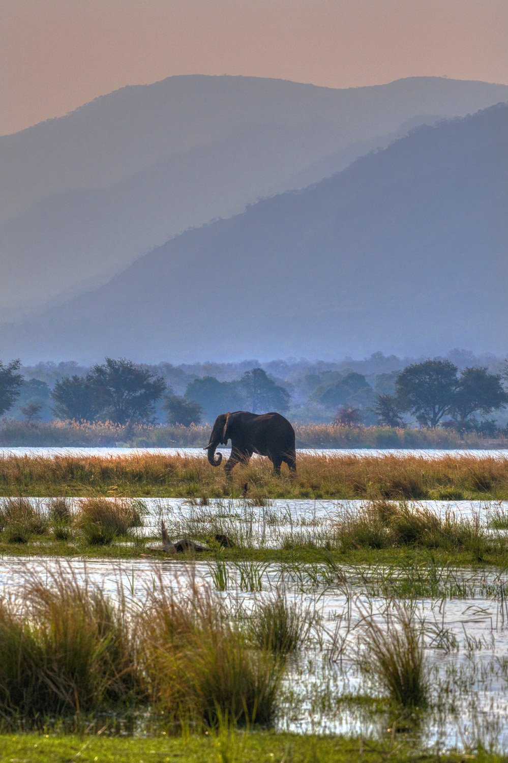 28_elephant_in_the_river.jpg