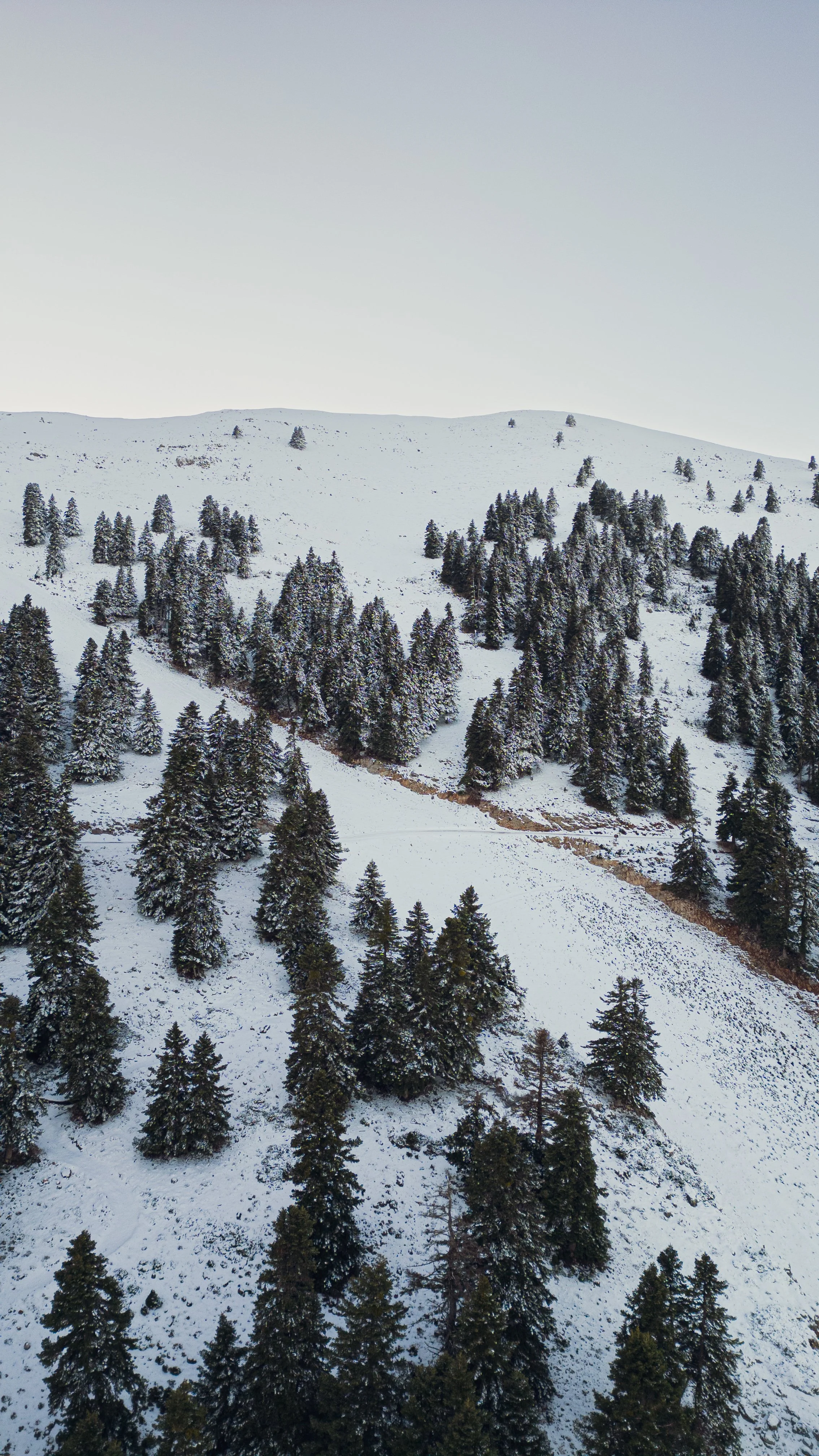 Ilias Vardavakis_drone photo-1.jpg