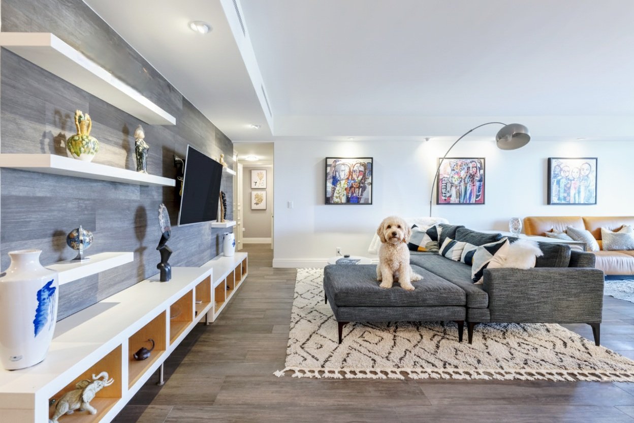 Living room with a gray sectional sofa, a dog sitting on it, colorful artwork on the wall, a white shelving unit with decorative vases and sculptures, a textured area rug, and a large floor lamp.
