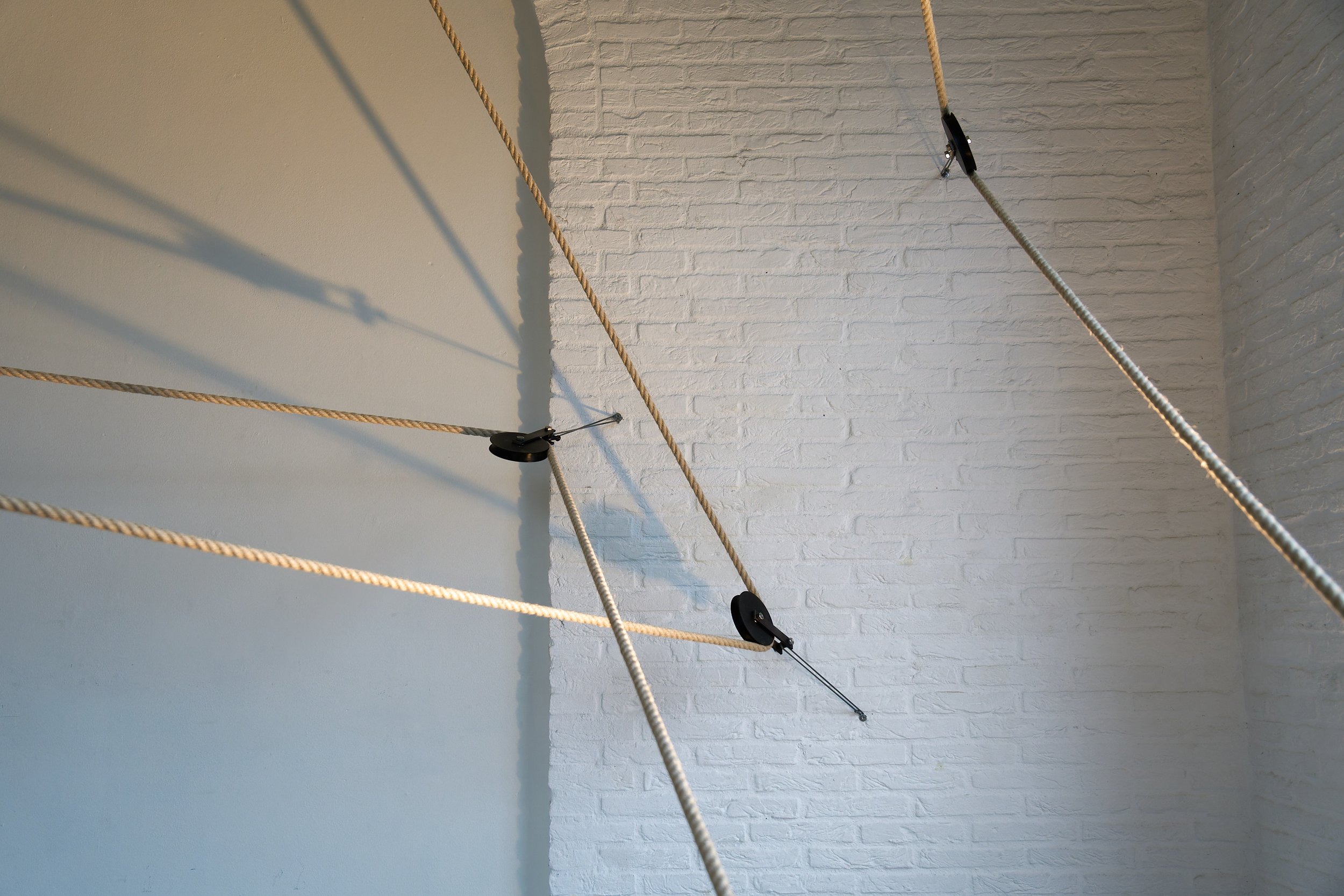 _DSC3324-DxO_DeepPRIME XD2s_XD_1_lowRes.jpg