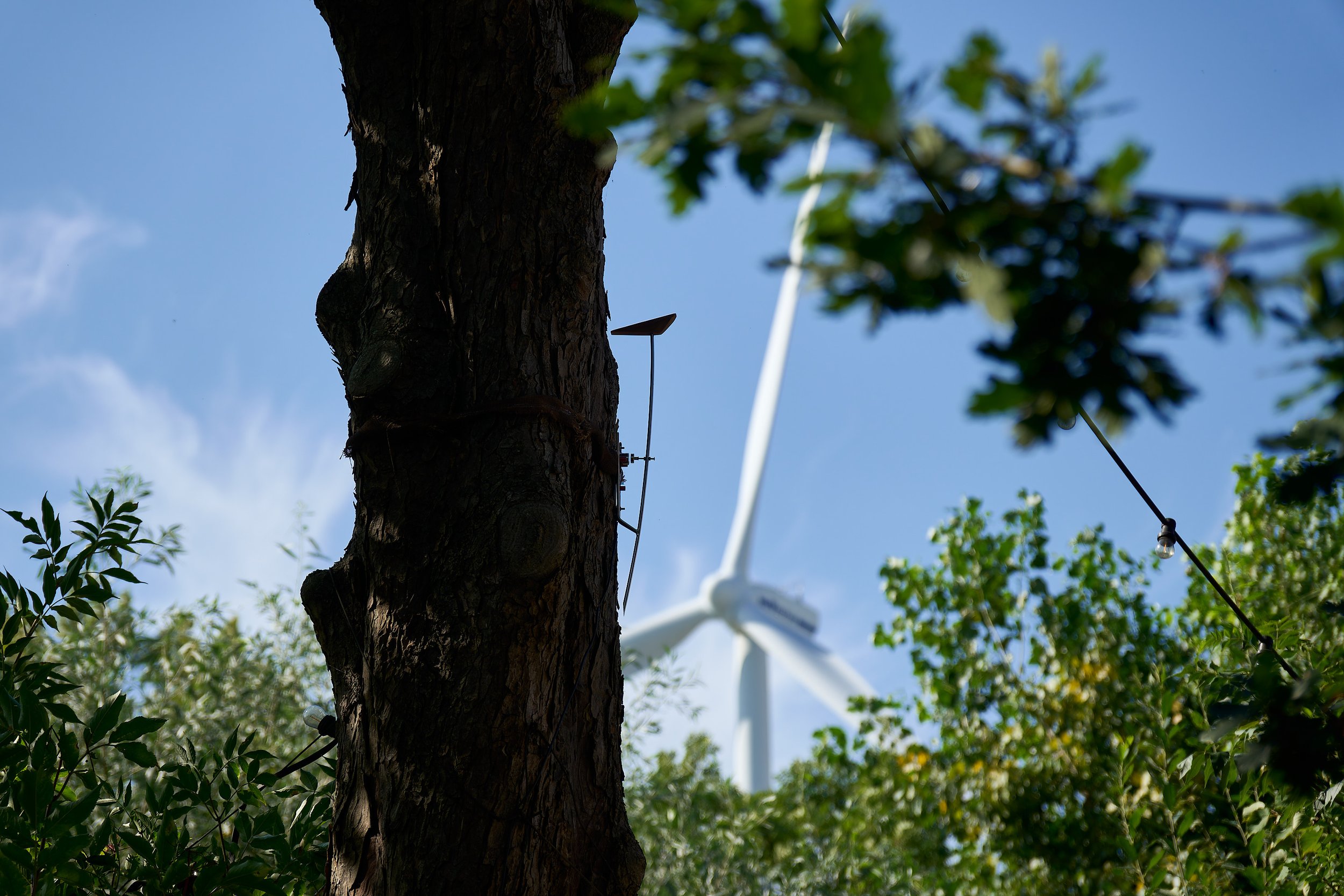 _DSC9865-DxO_DeepPRIME XD2s_XD_1_lowRes.jpg