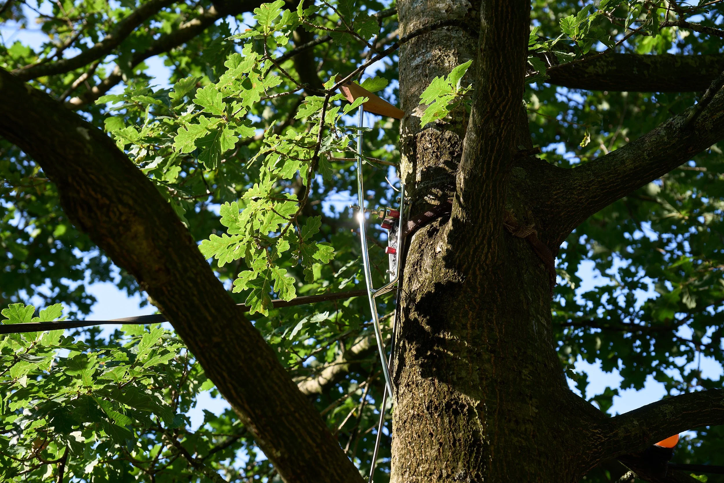 _DSC9785-DxO_DeepPRIME XD2s_XD_1_lowRes.jpg