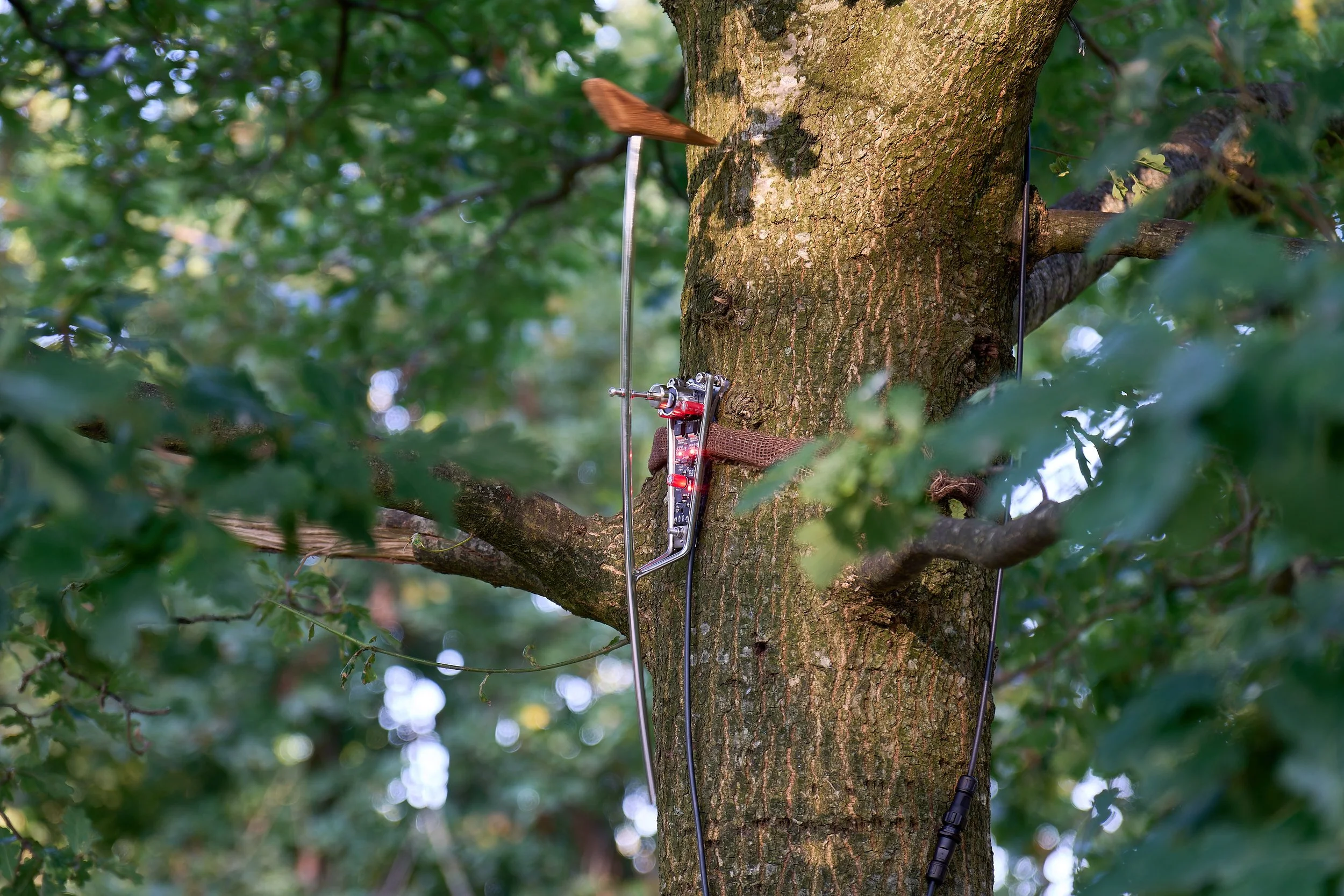 _DSC9871-DxO_DeepPRIME XD2s_XD_1_lowRes.jpg