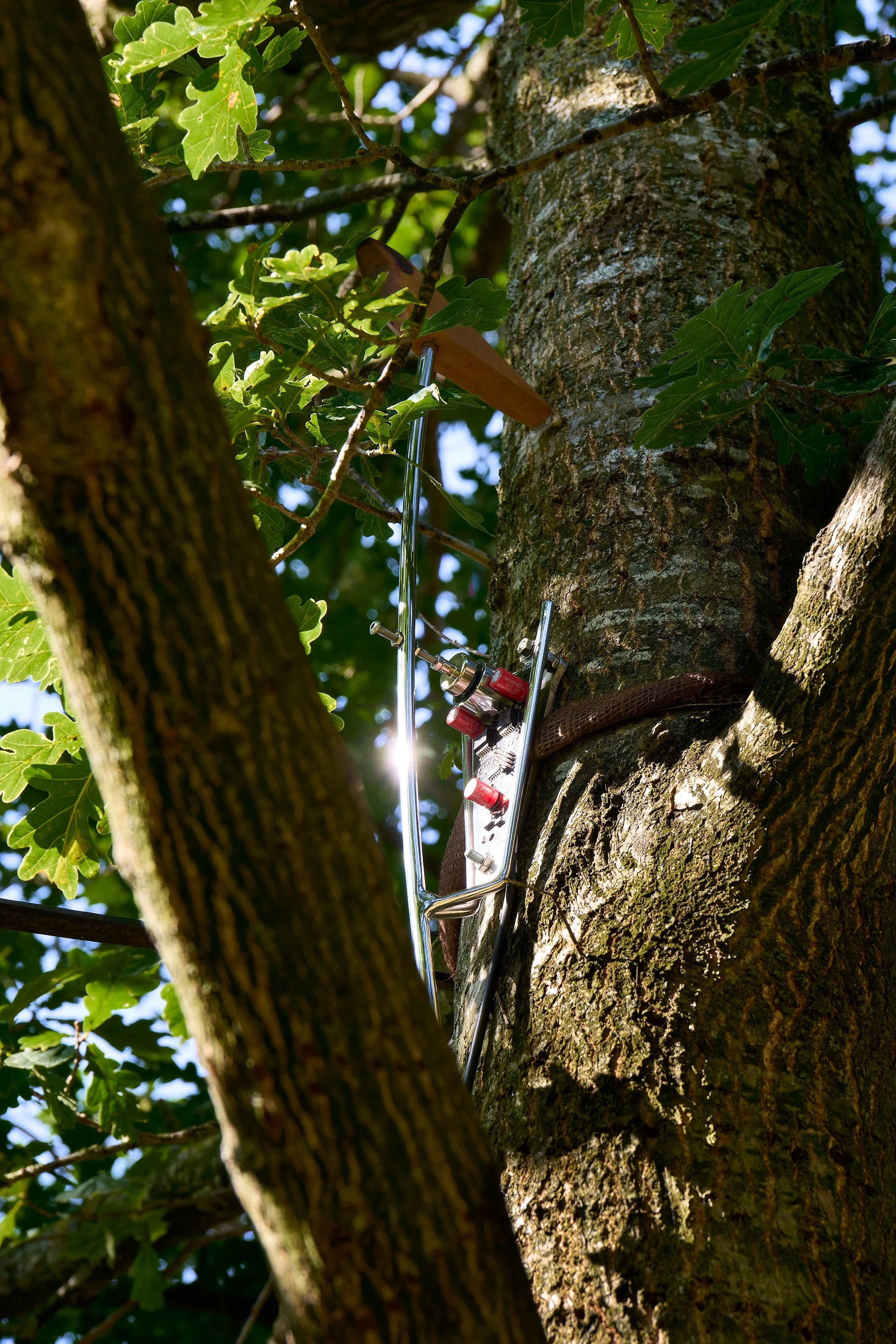 _DSC9845-DxO_DeepPRIME XD2s_XD_1_lowRes.jpg