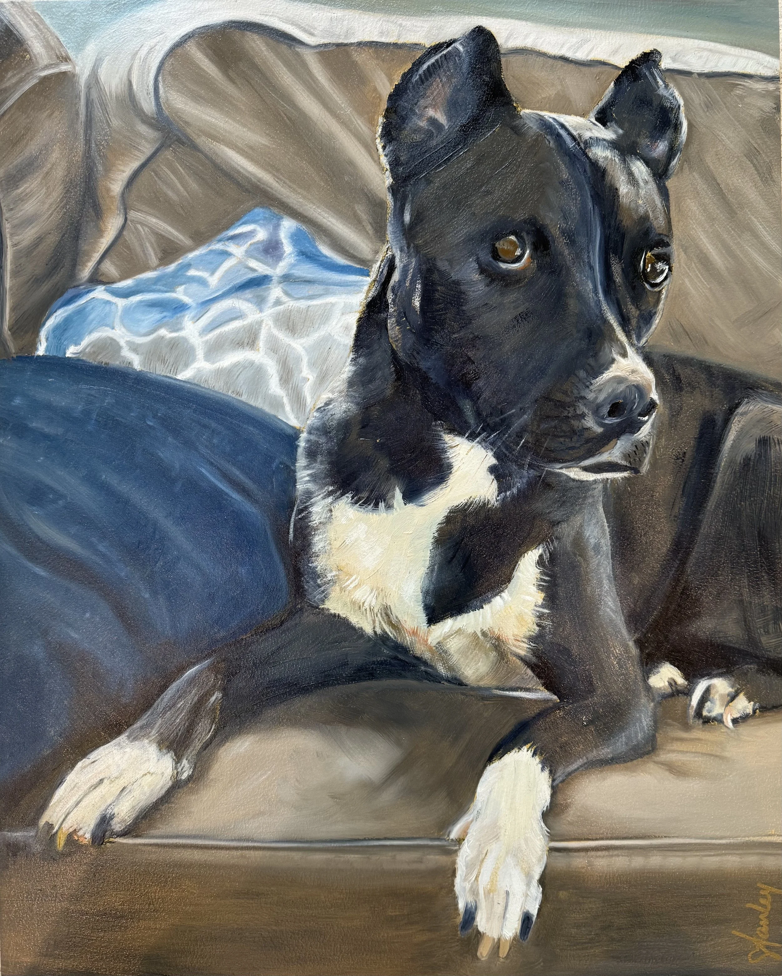 Panda - 16"  20" x .875" - Oil on Panel