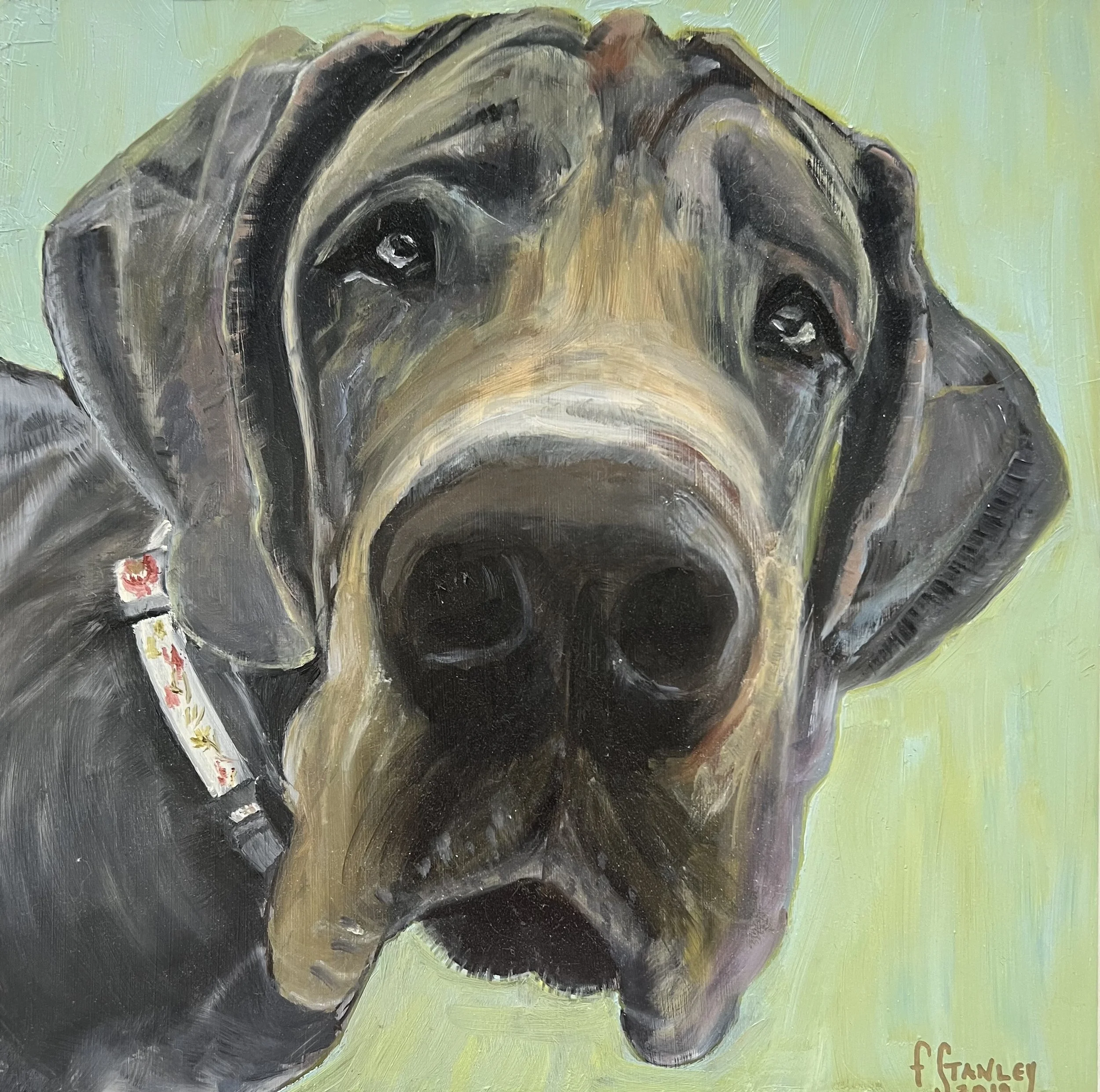 Ellie - 12 x 12 x .75” - Oil on Panel