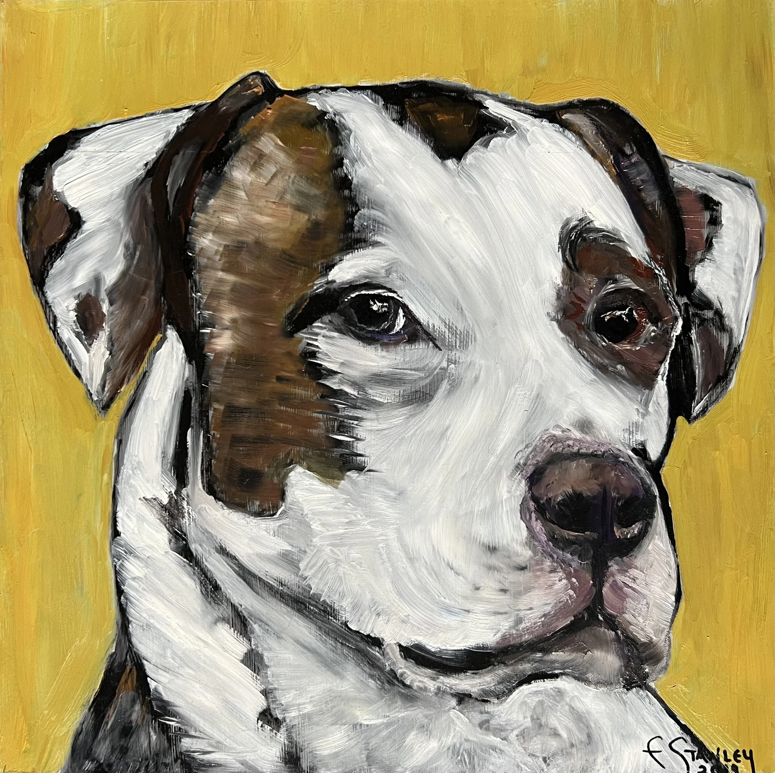 Fat - 12” x 12” - Oil on Panel