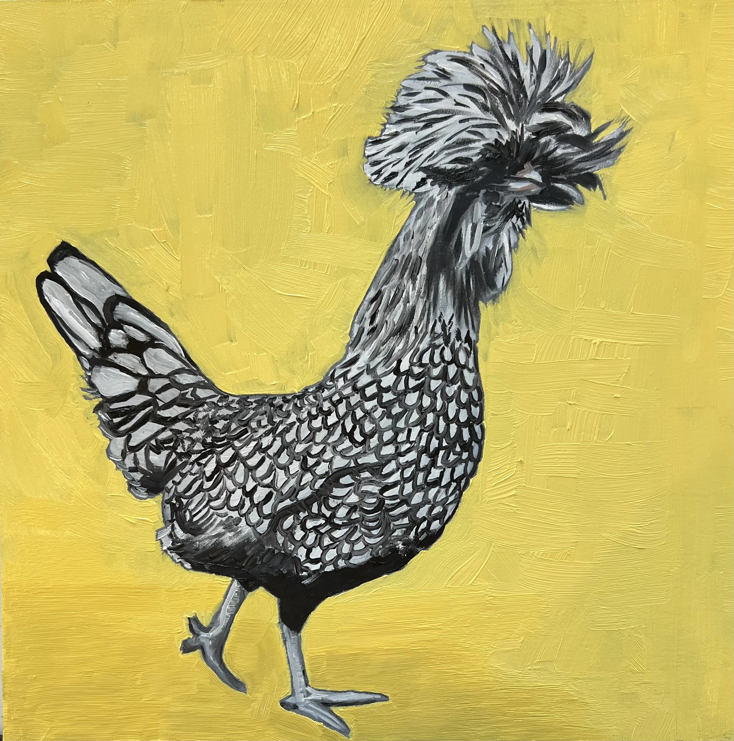 Dennis (Silver Laced Polish) - 12 x 12 x .75” - Oil on Panel