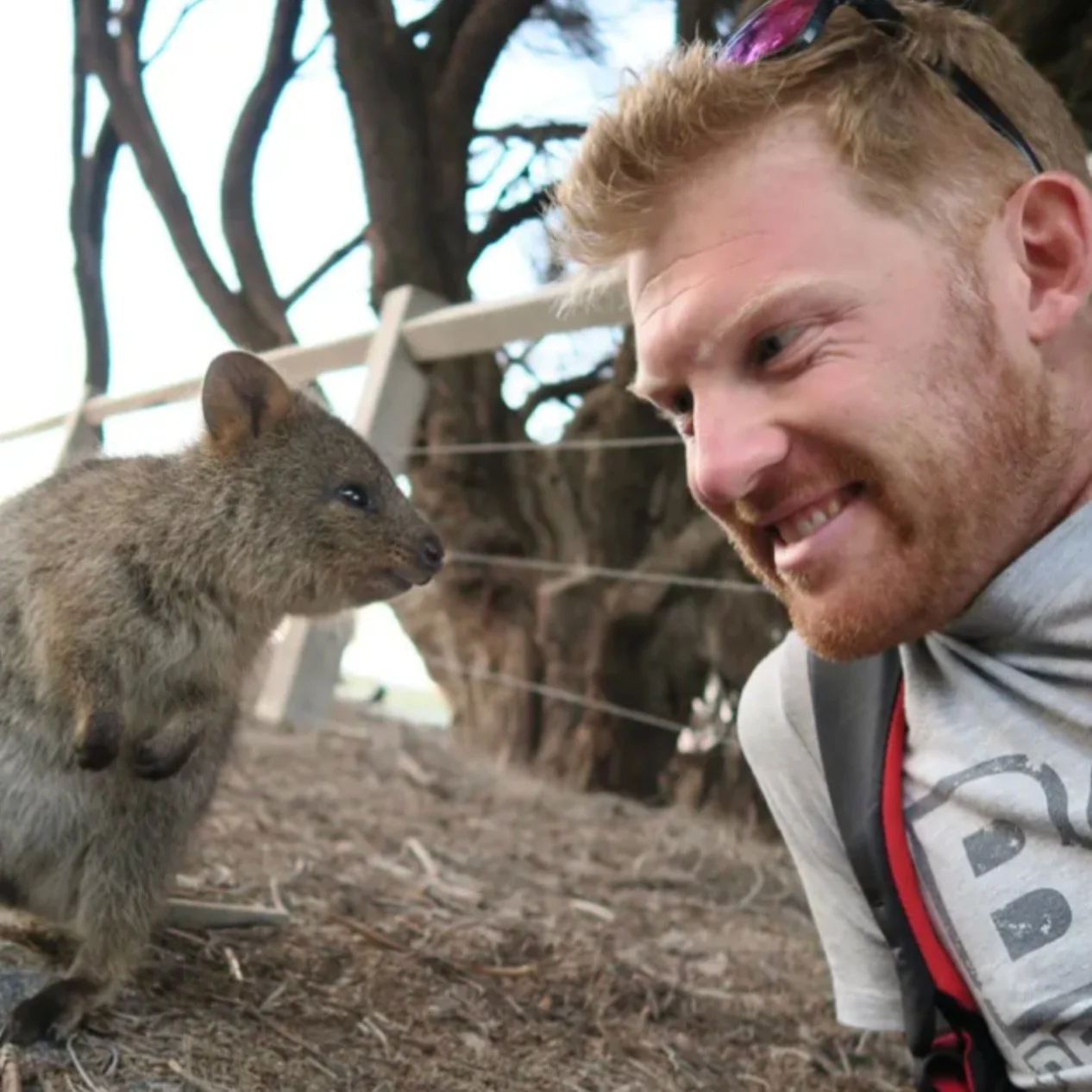Five years ago today our alpacas arrived and what a journey it has been, with so many smiles and cuddles and a few tears along the way.

So we thought it would be only appropriate to celebrate this milestone with the introduction of a new family of f