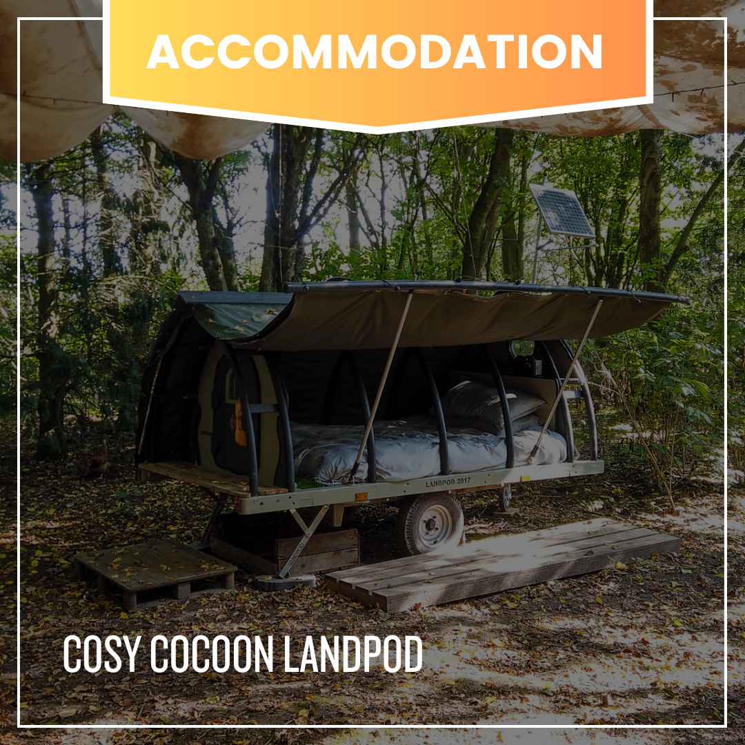 Cosy Coccoon (sleeps 2)