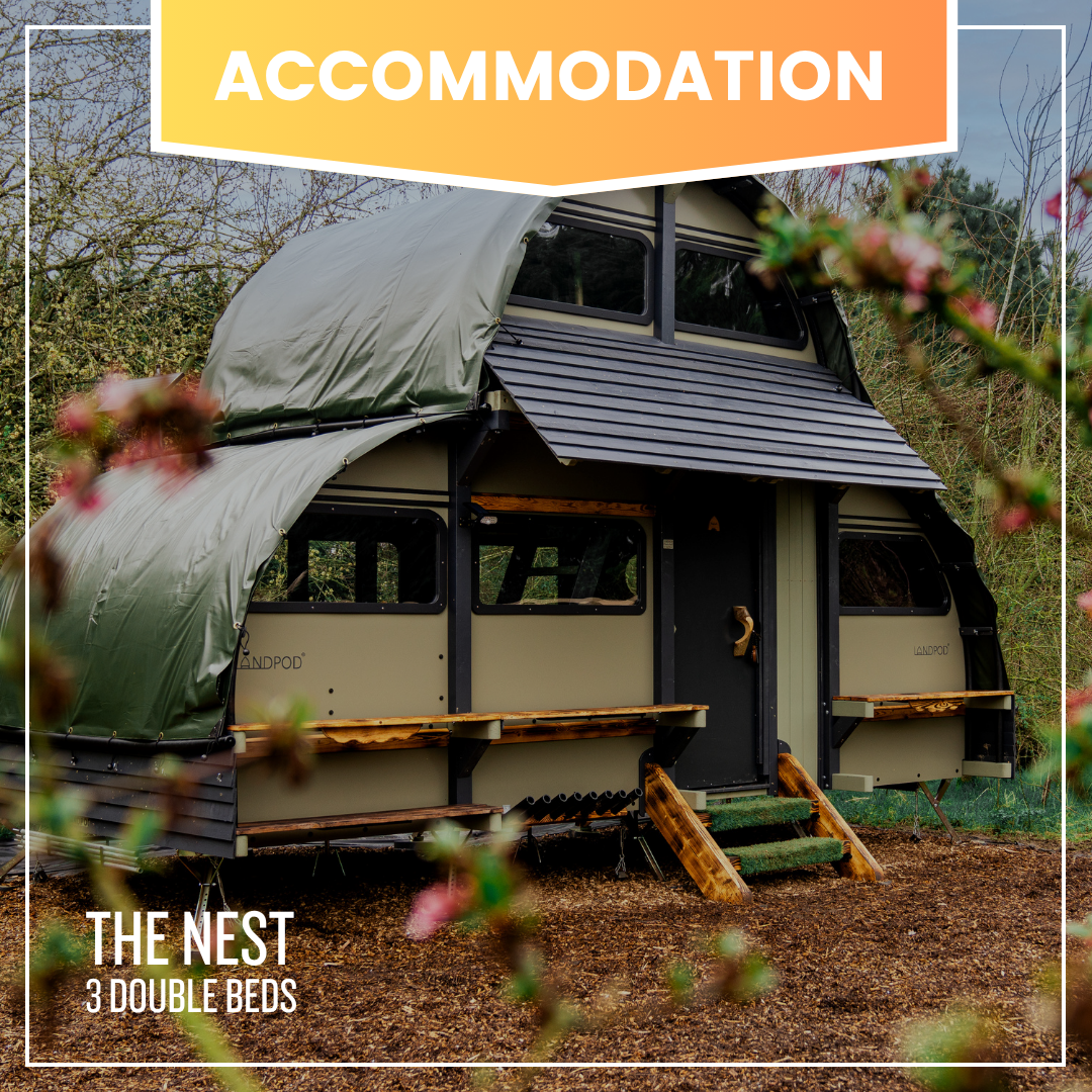 The Nest (sleeps 6)