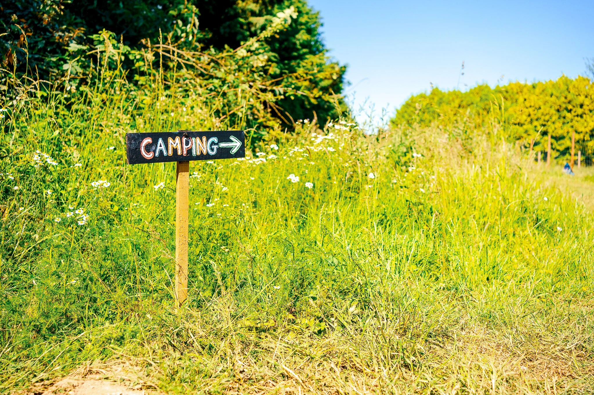 Yestival 2023 Anna Pumer Photography-164.jpg