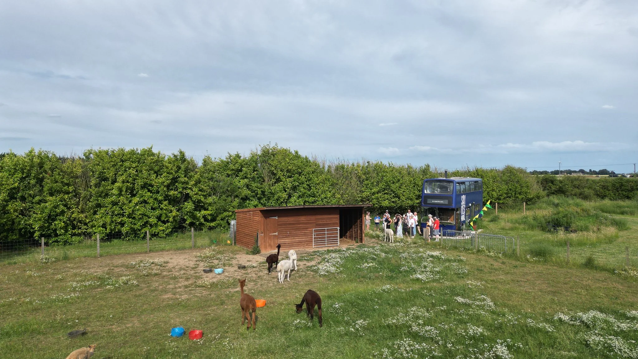 DJI_0527.jpg