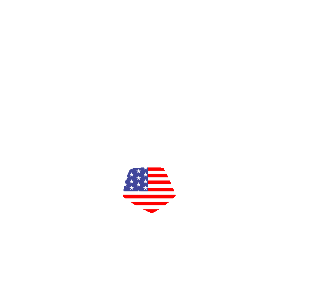 Volf Soccer Academy USA