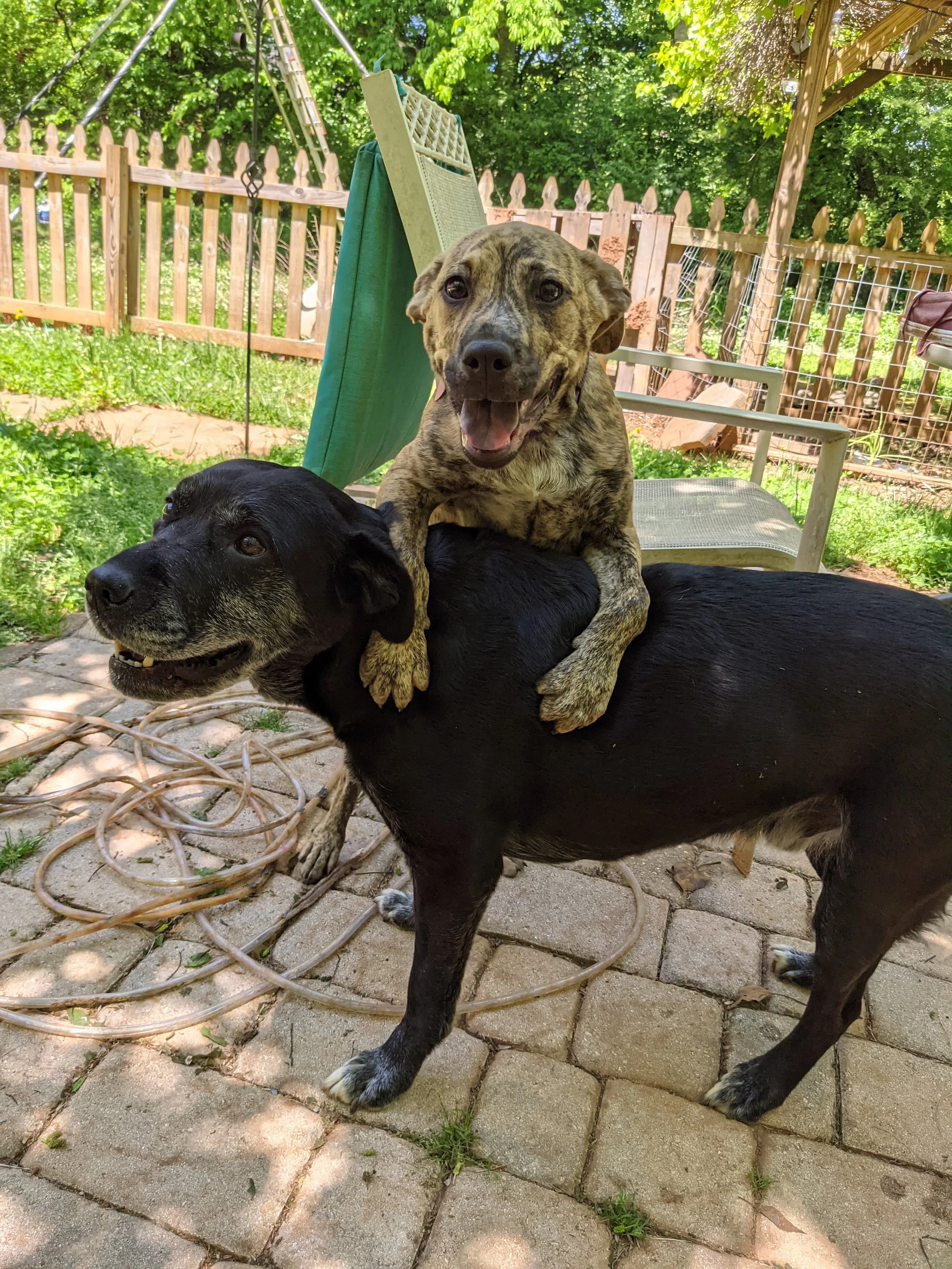 Accountability starts here, Walker :)