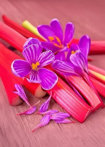 💚 Alleati Naturali per il Nostro Benessere Psico-Fisico