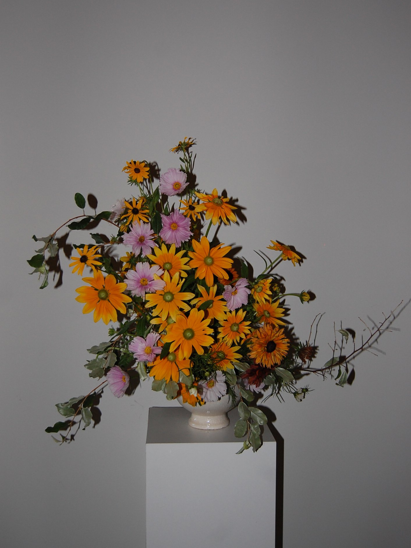 DSC_0149.jpeg