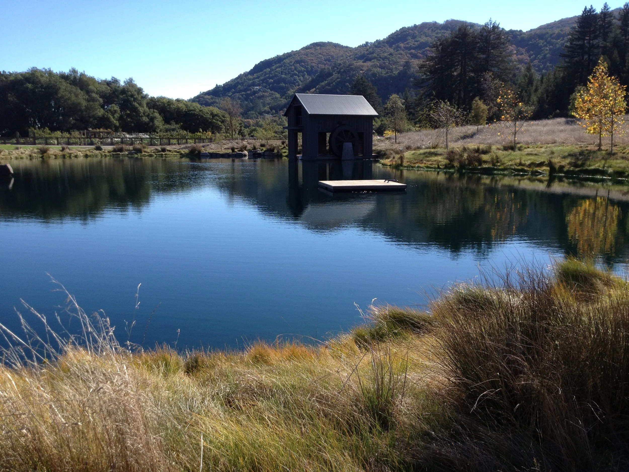 Sonoma Mountain Pond Design & Build