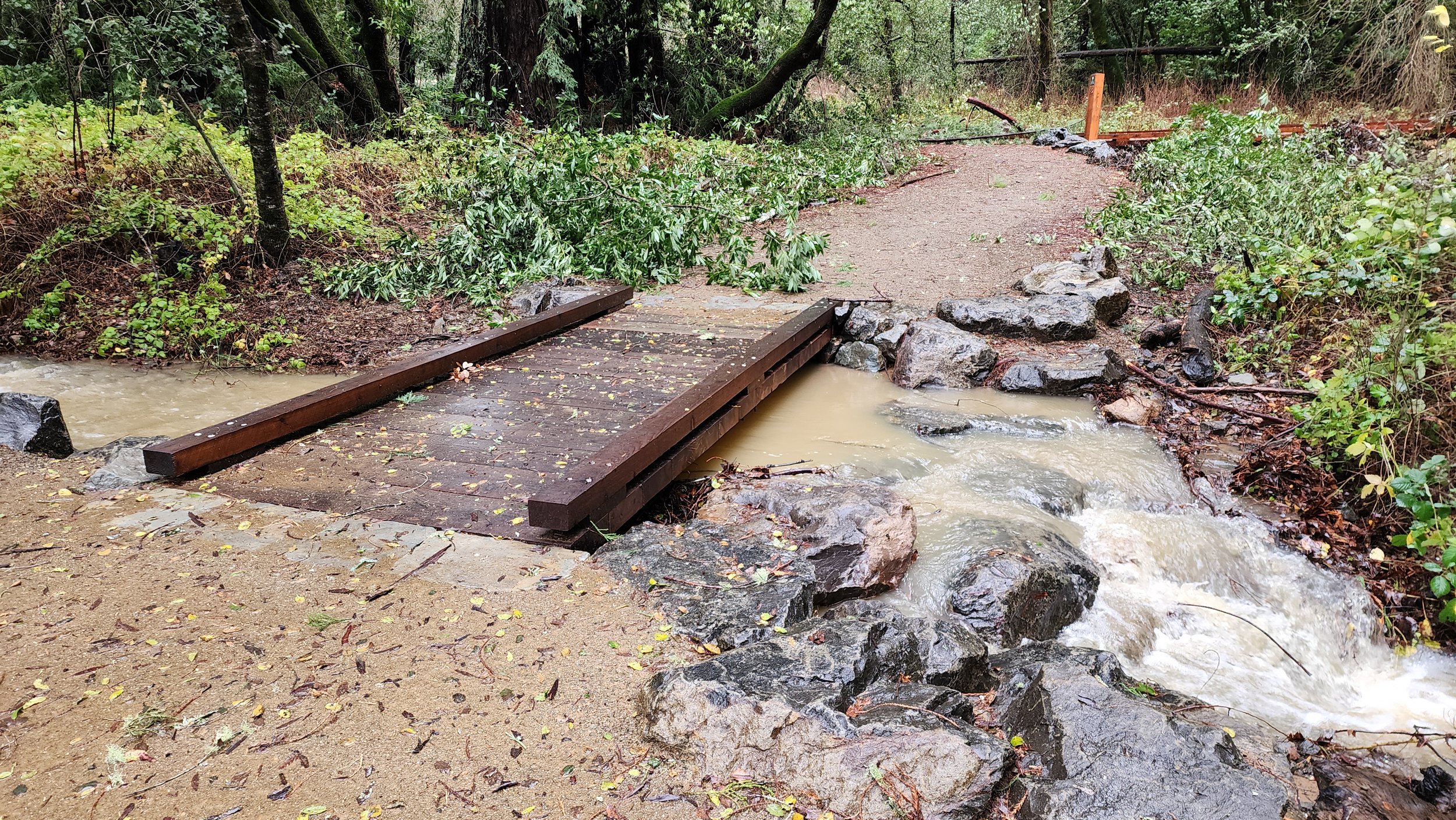 Roy’s Redwood Preserve Valley Restoration