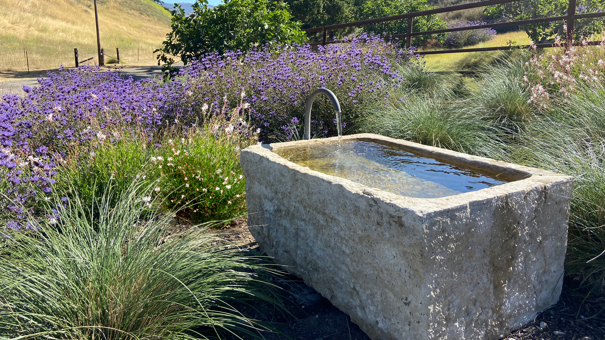 water basin